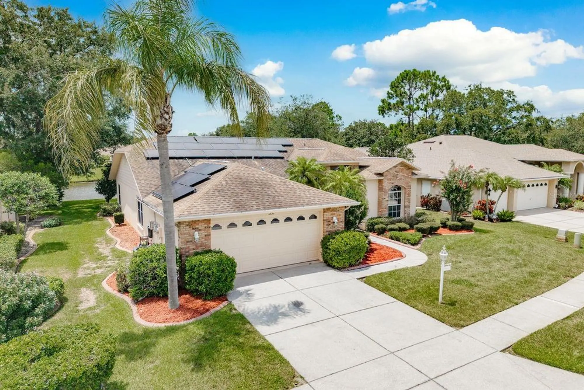 Property Slideshow image 47 of 49 | 1251 rambling vine ct, Trinity, FL, 34655