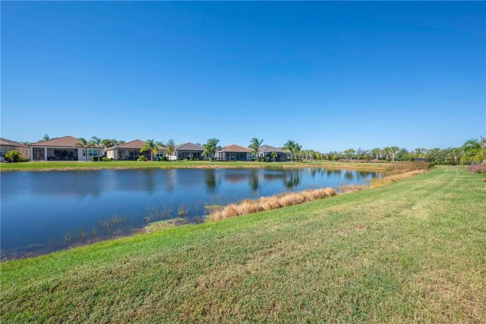 Property Slideshow image 43 of 48 | 15513 santa pola dr, Wimauma, FL, 33598