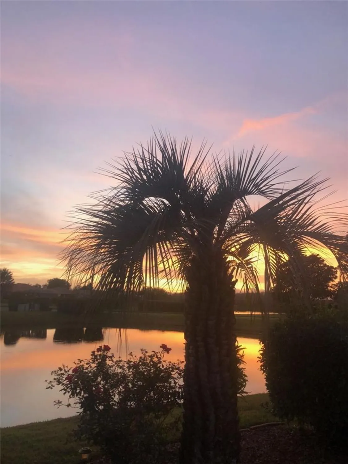 Property Slideshow image 4 of 58 | 8472 maybelle dr, Weeki Wachee, FL, 34613