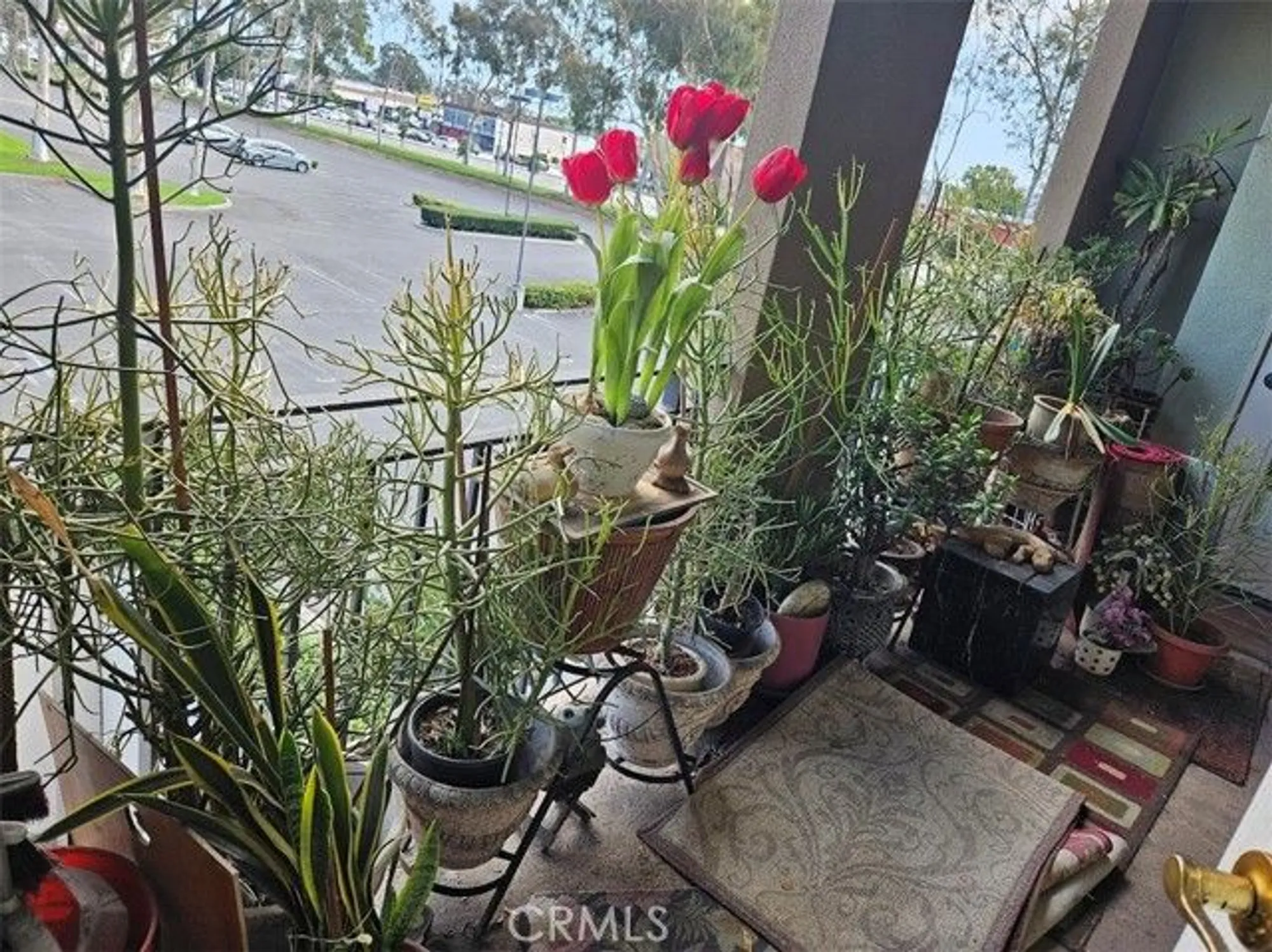 Property Slideshow image 25 of 34 | 2605 sepulveda blvd 216, Torrance, CA, 90505