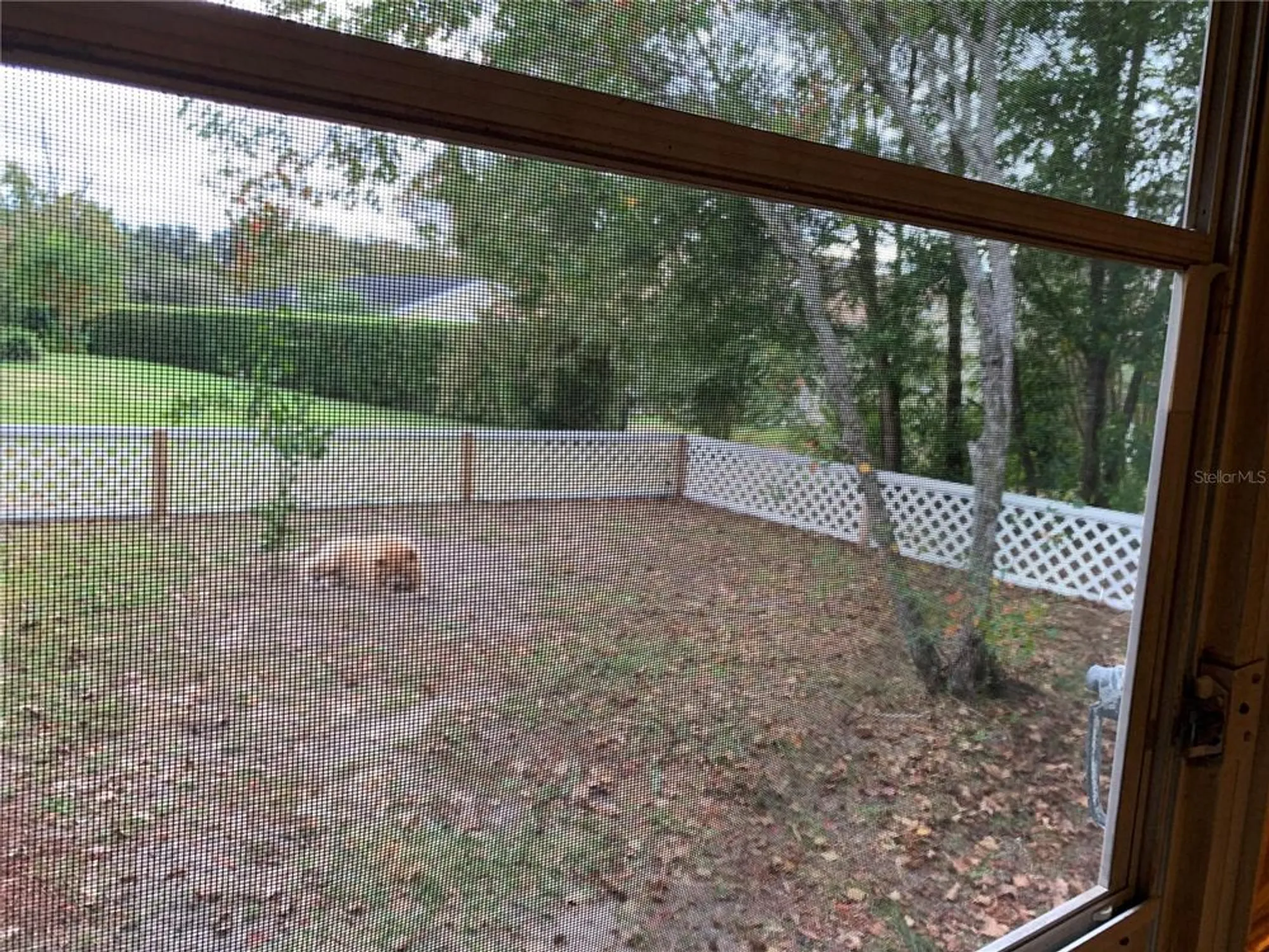 Property Slideshow image 23 of 26 | 11440 sw 85th ave, Ocala, FL, 34481