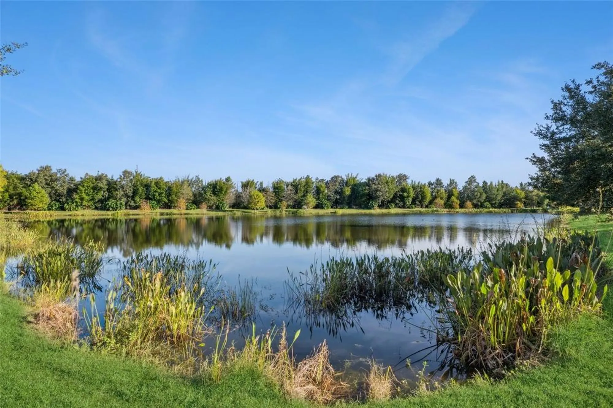 Property Slideshow image 28 of 47 | 404 tisbury ct, Deland, FL, 32724