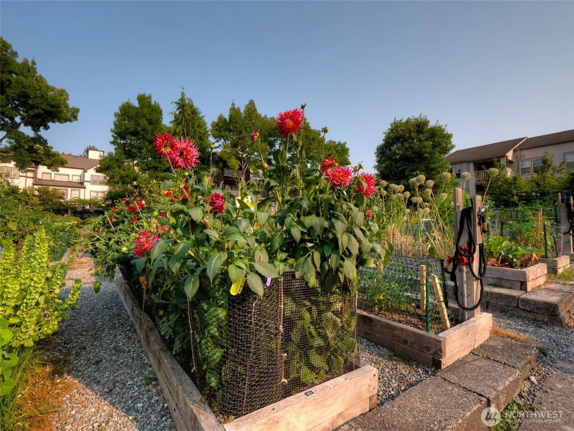 Property Slideshow image 39 of 40 | 4222 221st pl se # 1081, Issaquah, WA, 98029