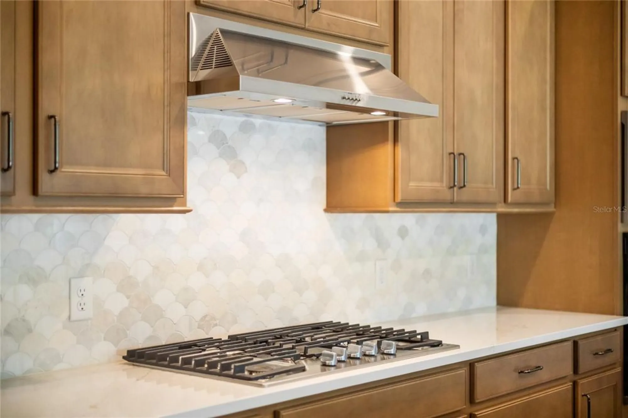 Property Slideshow image 10 of 52 | 15084 canopy cover dr, Winter Garden, FL, 34787