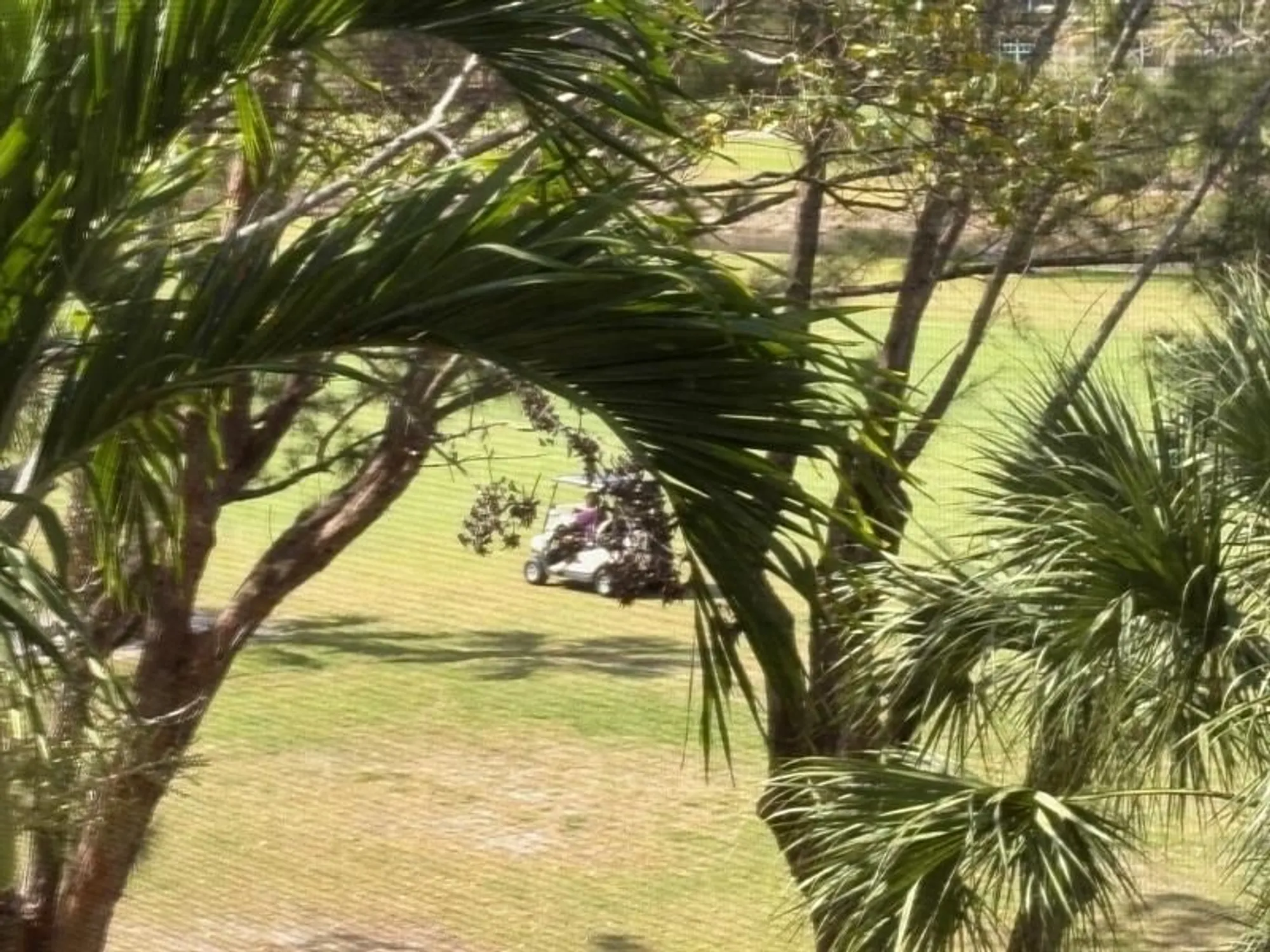 Property Slideshow image 13 of 70 | 1055 country club dr 404, Margate, FL, 33063