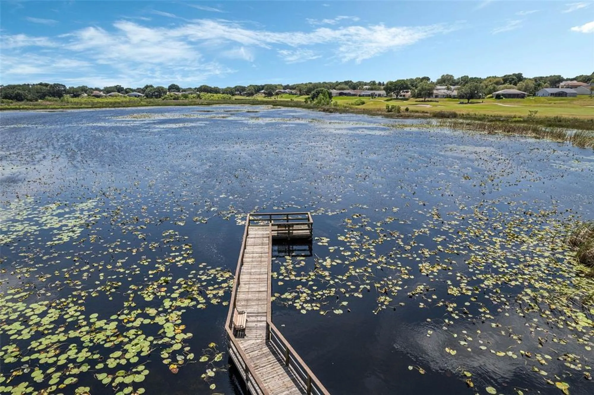 Property Slideshow image 60 of 61 | 24502 parlange ct, Leesburg, FL, 34748