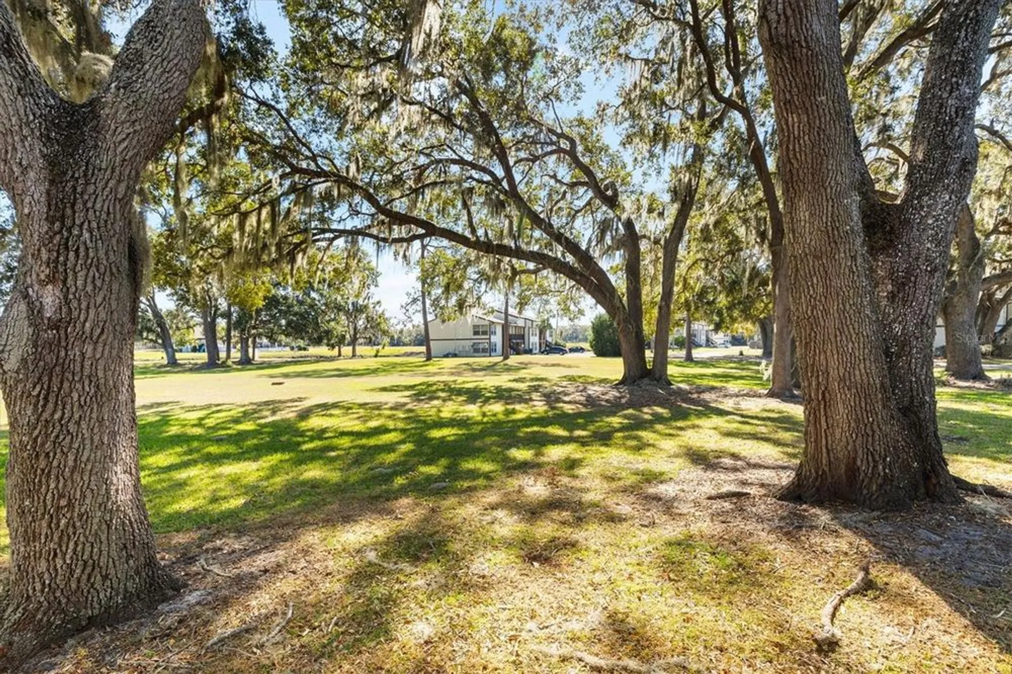 Property Slideshow image 21 of 22 | 13103 sandalwood dr # 13103, Wildwood, FL, 34785