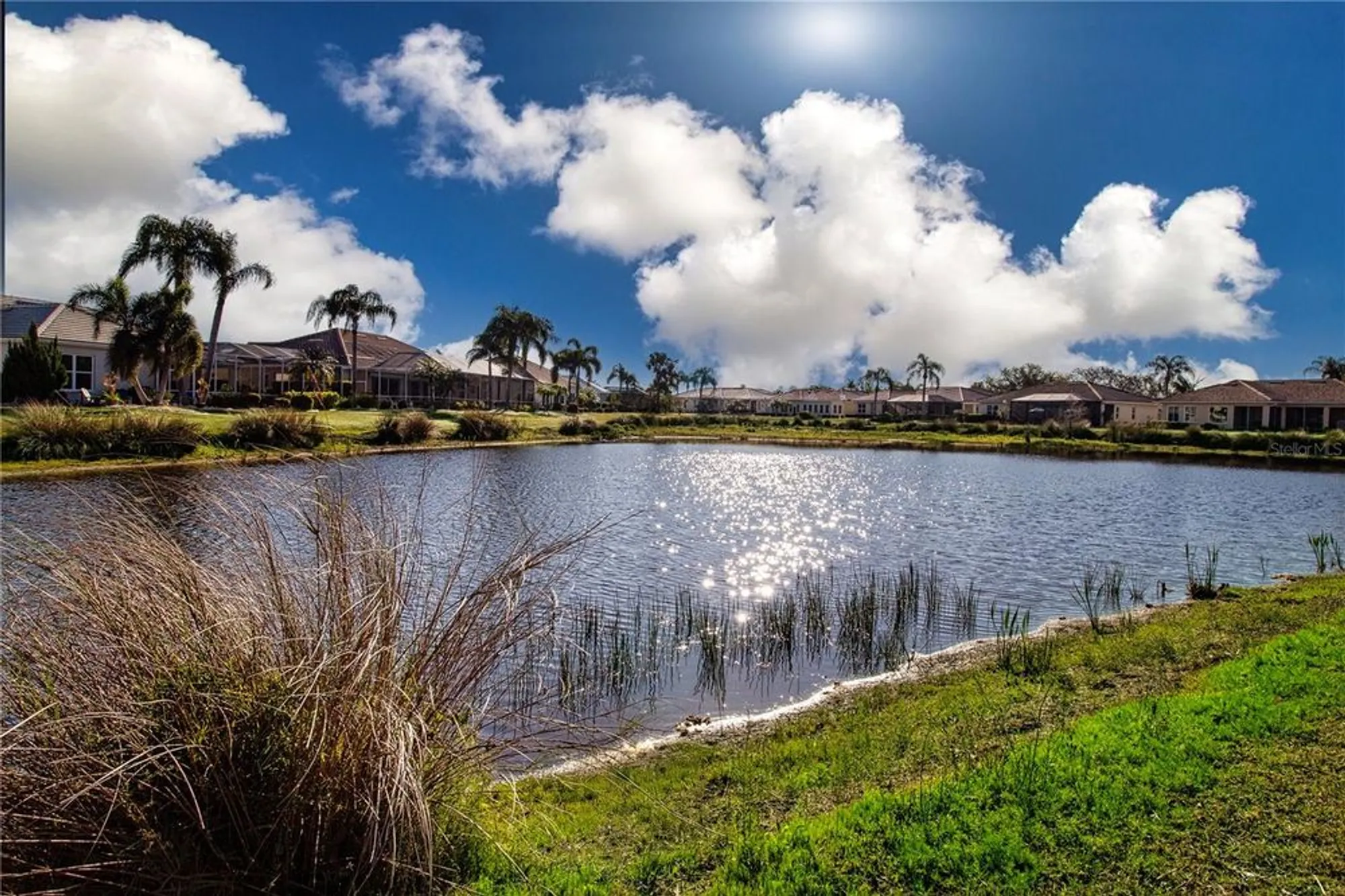 Property Slideshow image 5 of 65 | 1308 crystal greens dr, Sun City Center, FL, 33573