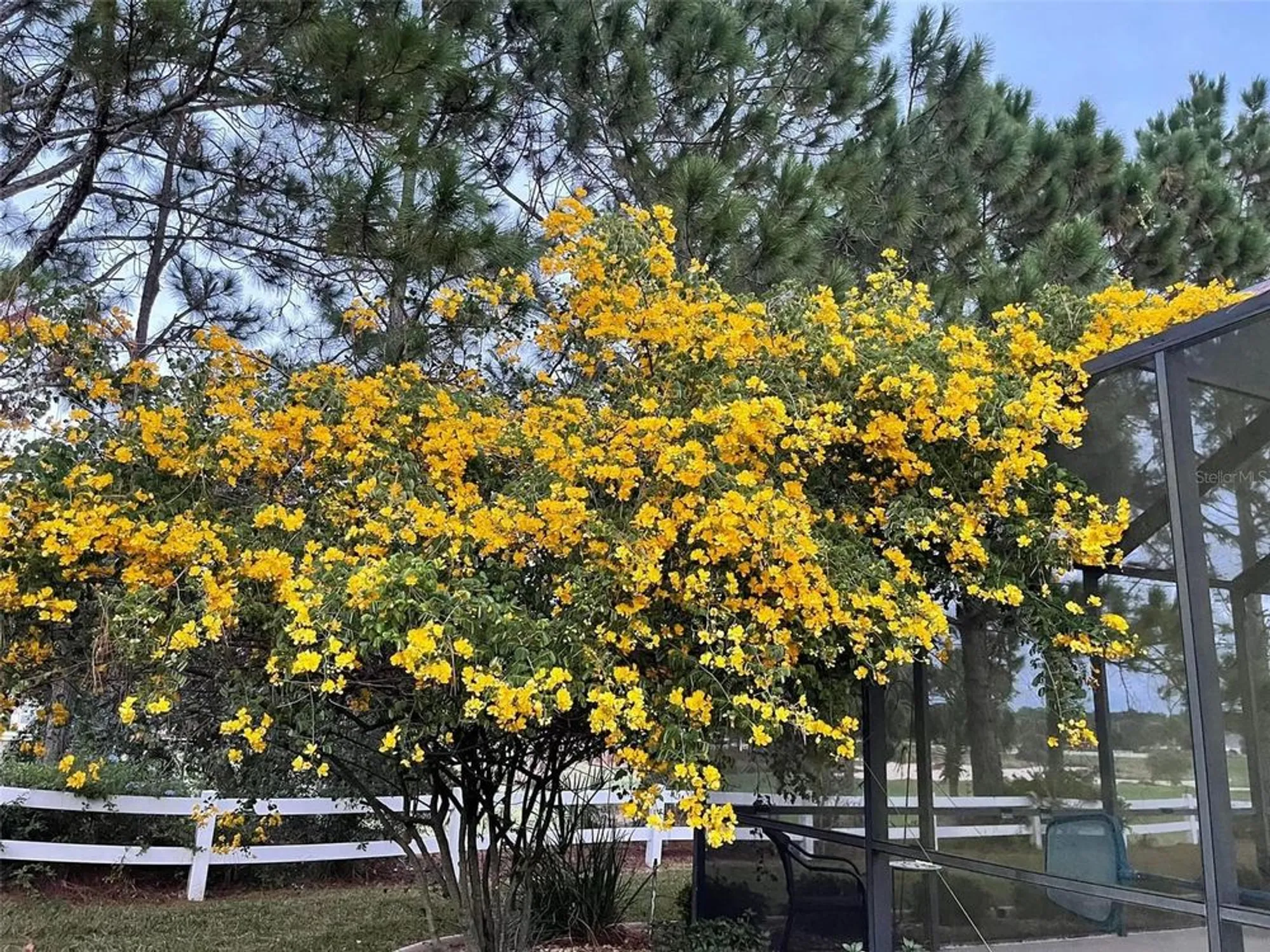 Property Slideshow image 57 of 64 | 8914 sw 84th cir, Ocala, FL, 34481