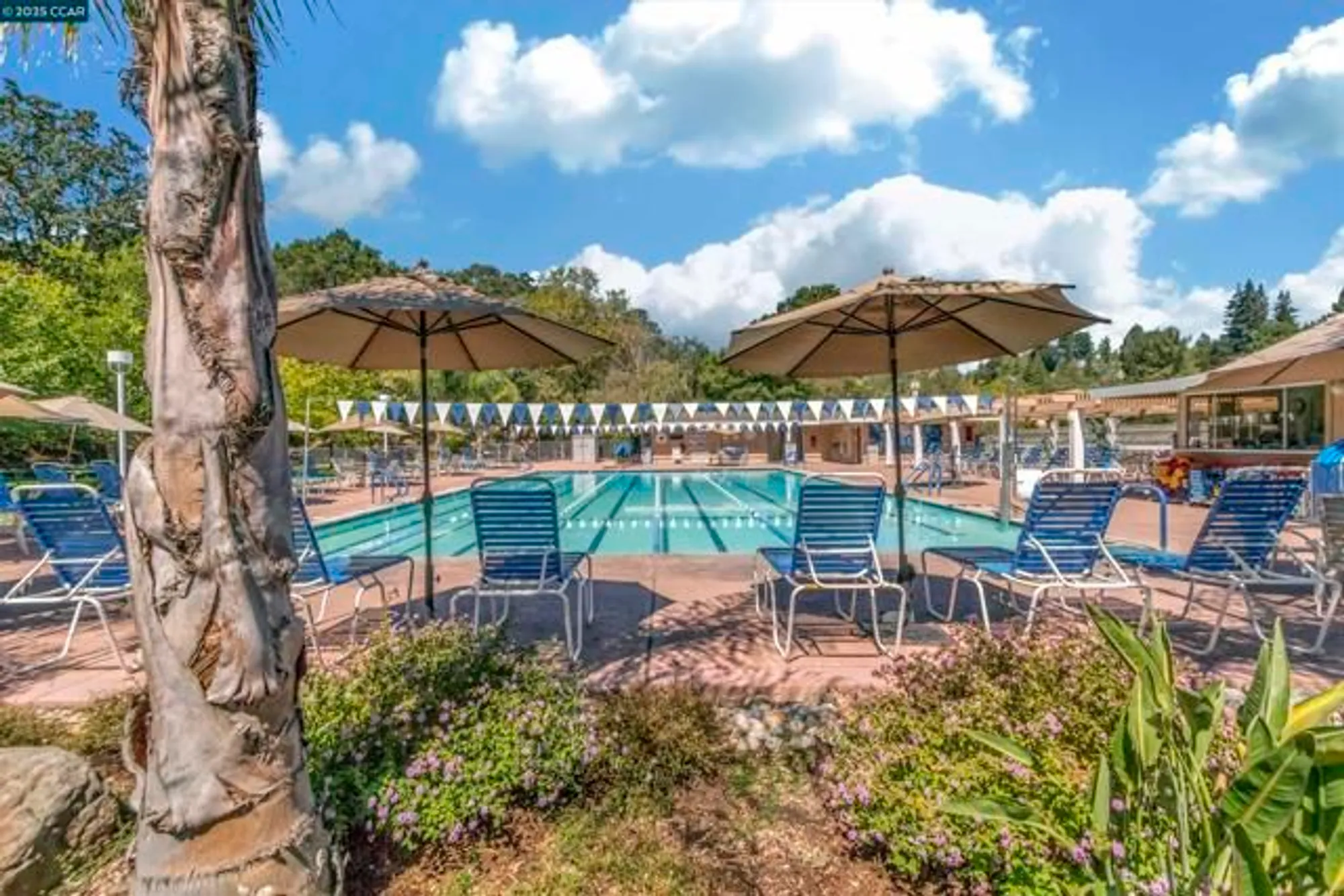 Property Slideshow image 47 of 58 | 2232 golden rain rd apt 1, Walnut Creek, CA, 94595