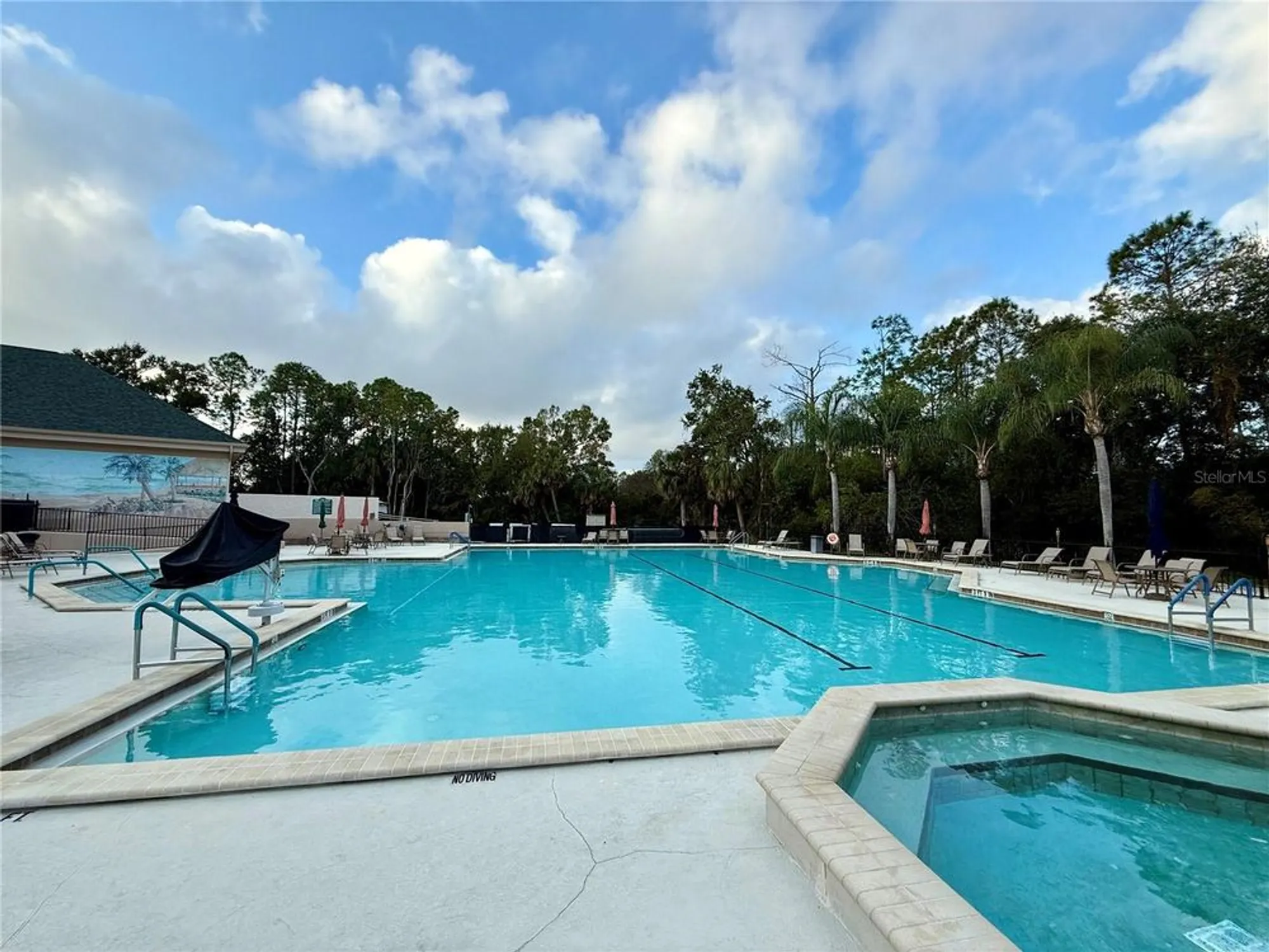 Property Slideshow image 24 of 28 | 9500 green needle dr, New Port Richey, FL, 34655