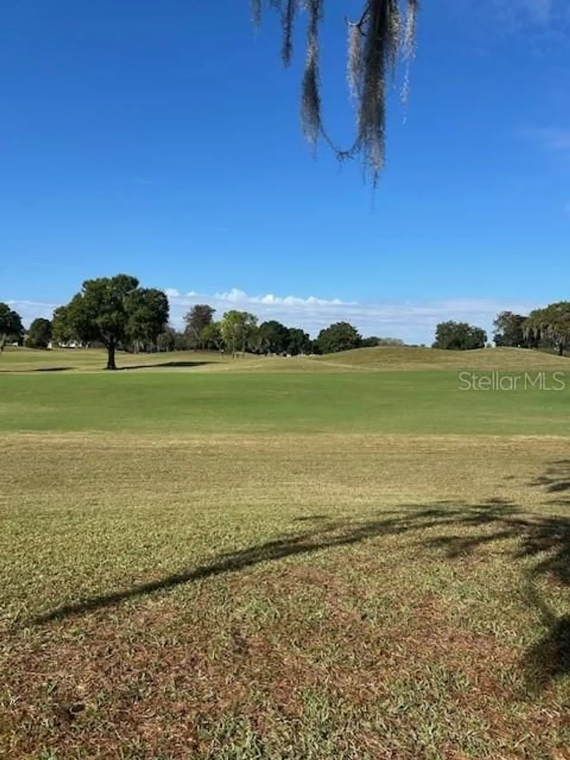 Property Slideshow image 24 of 24 | 13026 se 97th terrace rd, Summerfield, FL, 34491