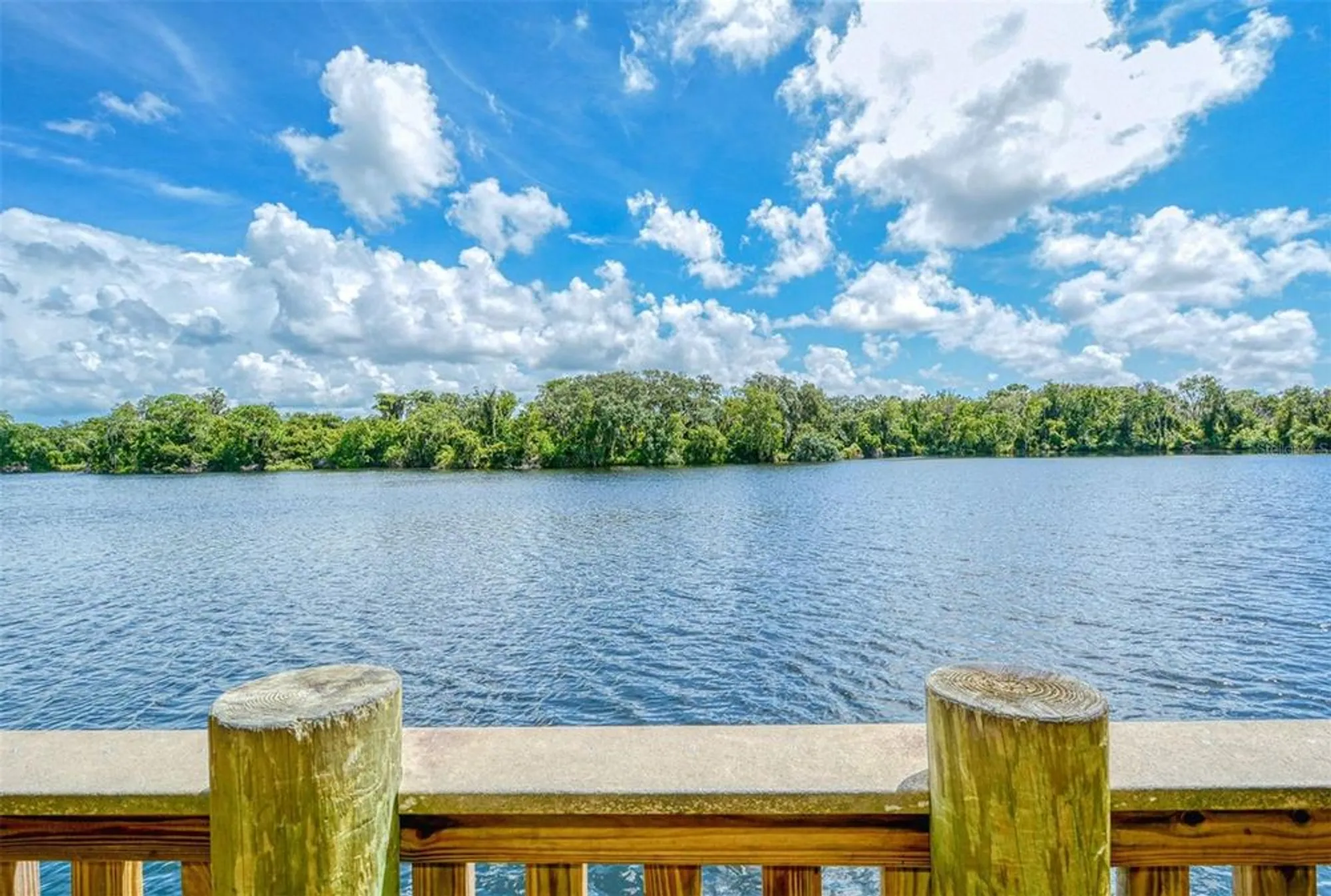 Property Slideshow image 64 of 74 | 4160 mackay falls ter, Sarasota, FL, 34243