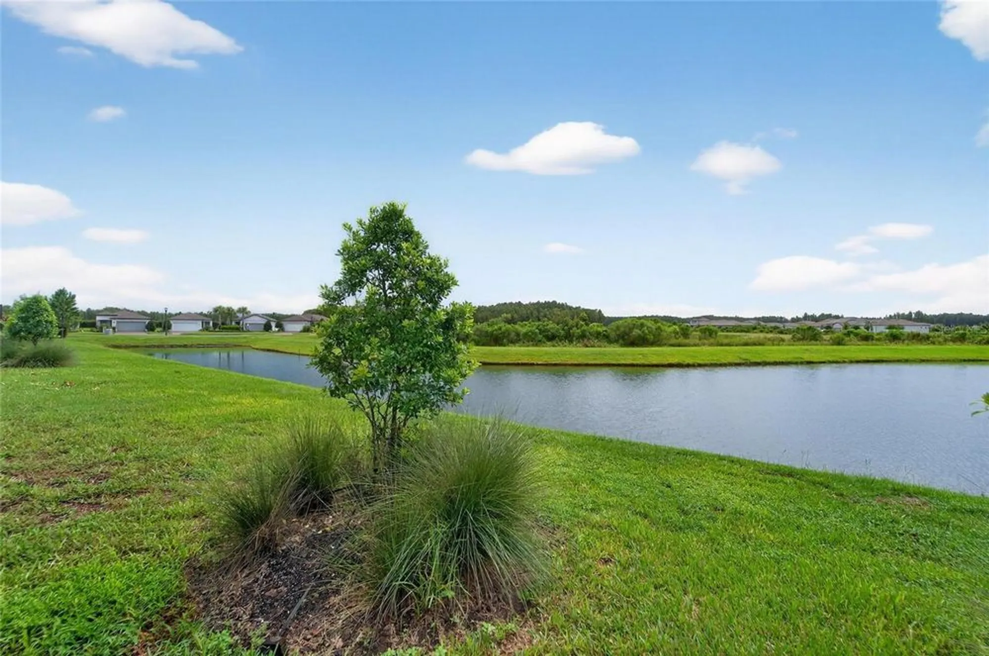 Property Slideshow image 43 of 70 | 5500 blue crush bnd, Land O Lakes, FL, 34638