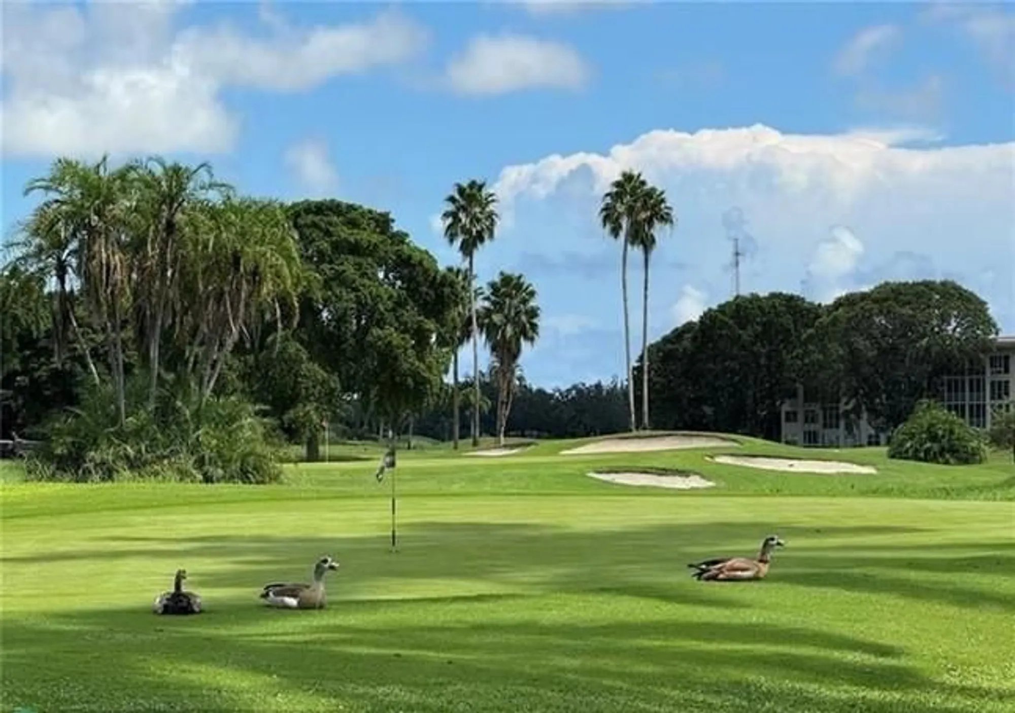 Property Slideshow image 25 of 25 | 1502 cayman way c2, Coconut Creek, FL, 33066