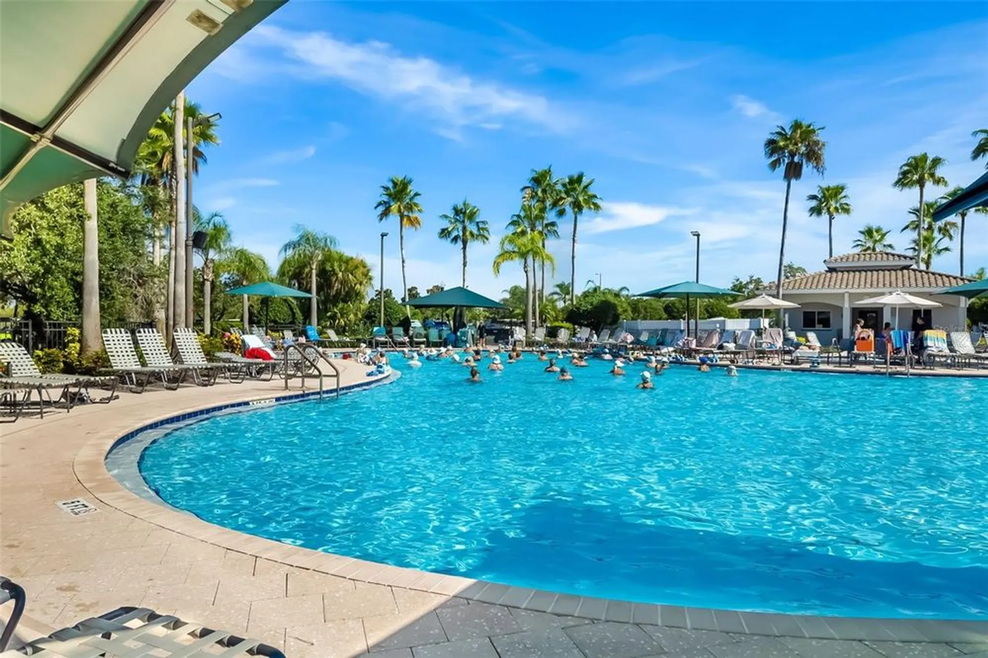 Property Slideshow image 55 of 76 | 2411 new haven cir 70, Sun City Center, FL, 33573