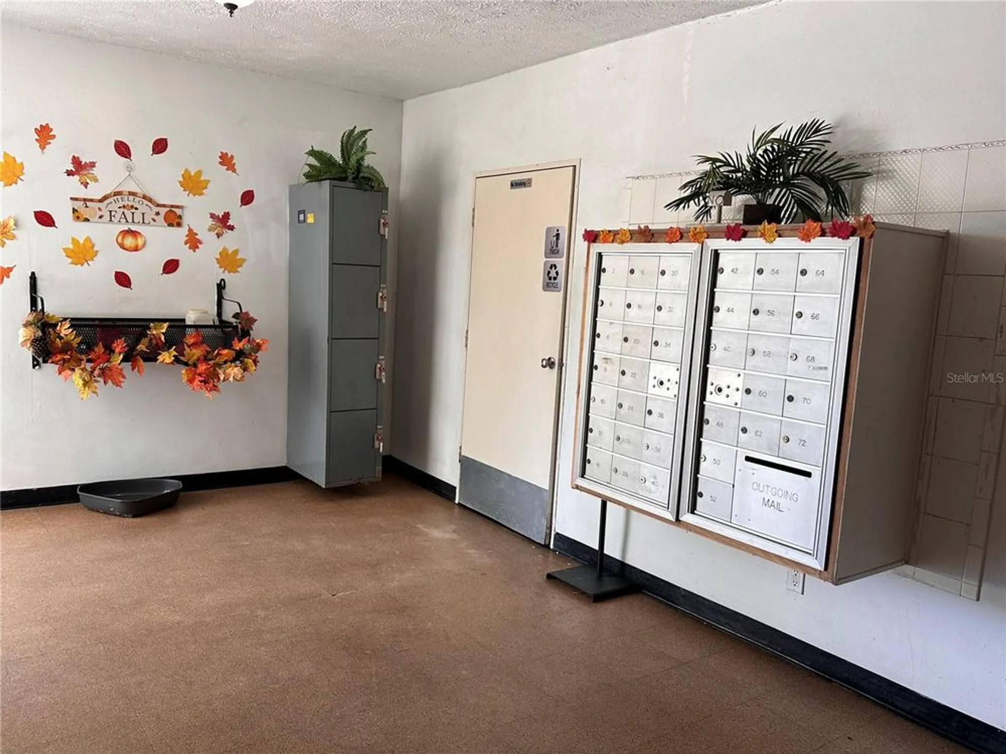 Property Slideshow image 30 of 40 | 2428 columbia dr apt 44, Clearwater, FL, 33763