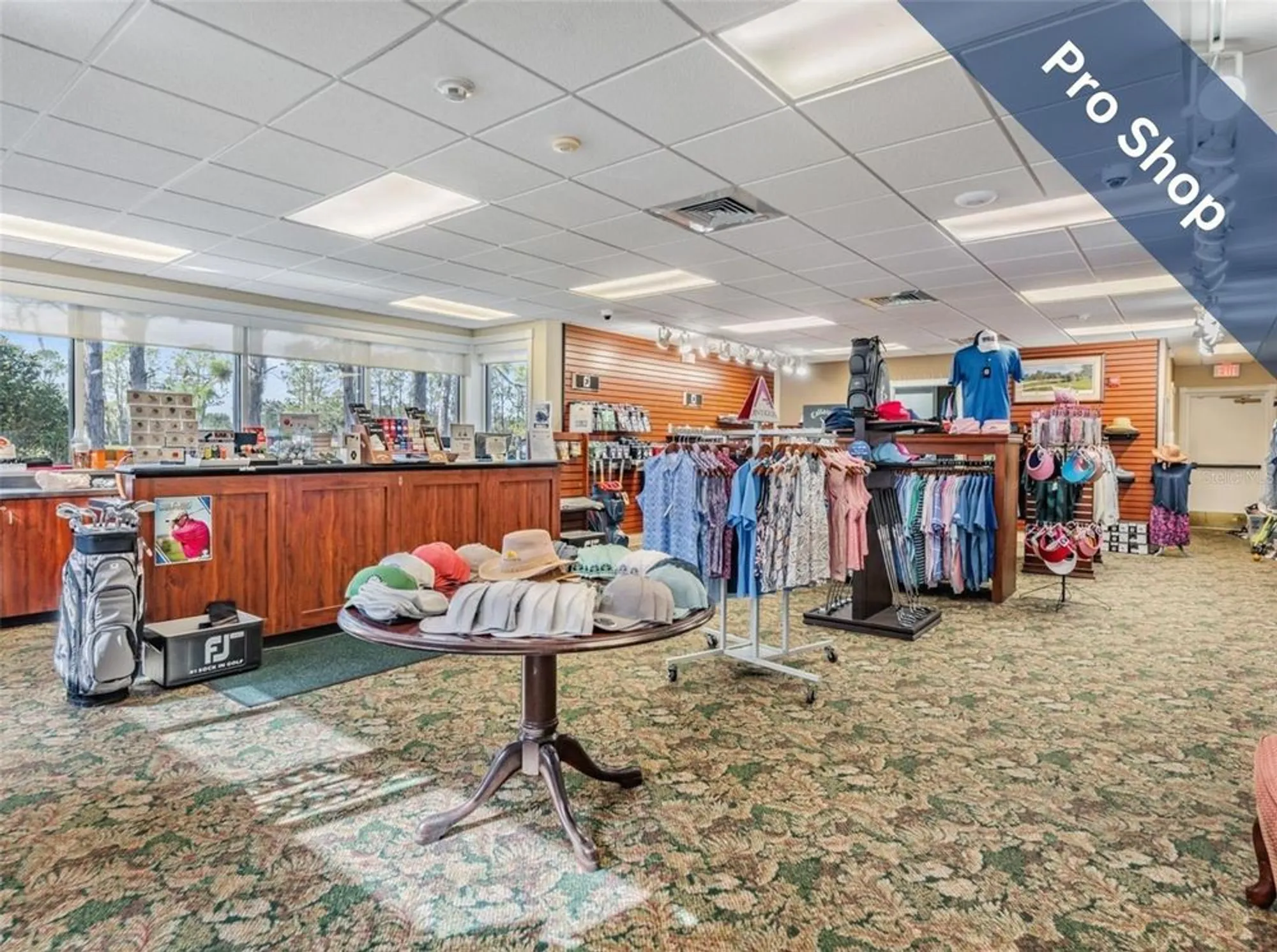 Property Slideshow image 32 of 49 | 1630 lakestone dr, Trinity, FL, 34655