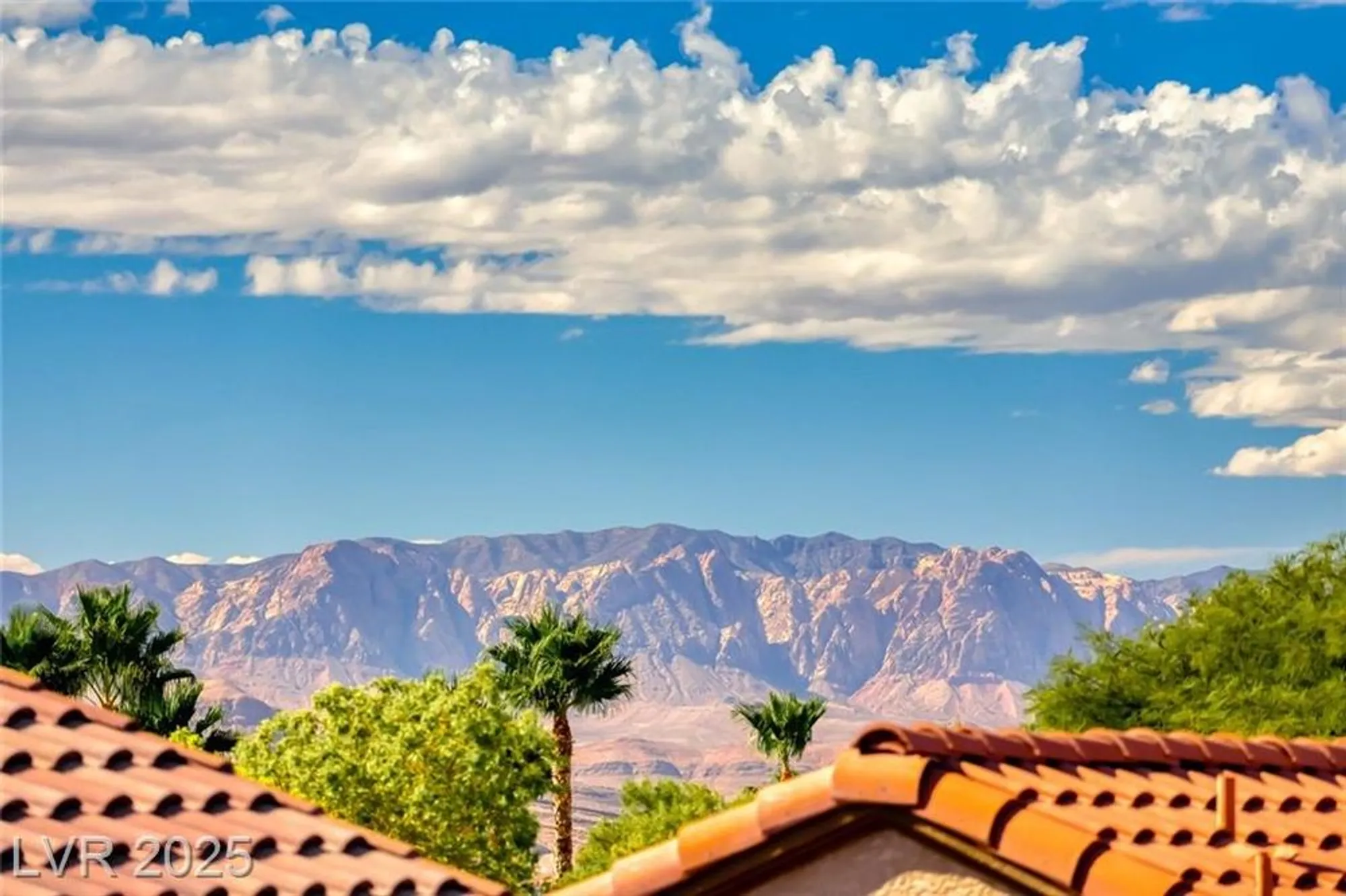 Property Slideshow image 25 of 43 | 2608 savannah springs ave, Henderson, NV, 89052