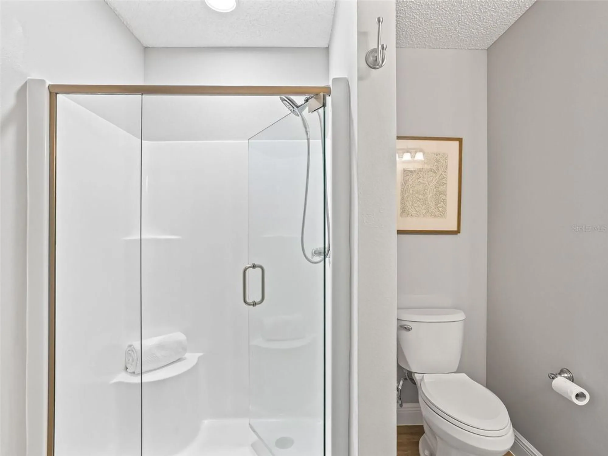 Property Slideshow image 20 of 32 | 9653 se 171st argyll st, The Villages, FL, 32162