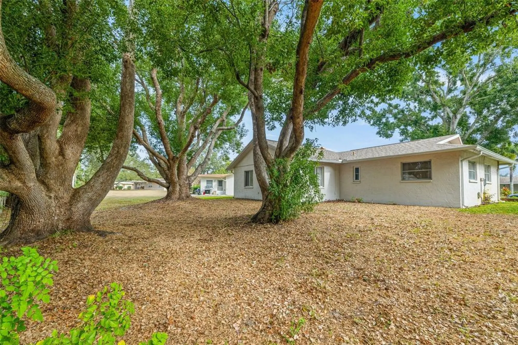 Property Slideshow image 29 of 50 | 142 stafford cir, Palm Harbor, FL, 34684