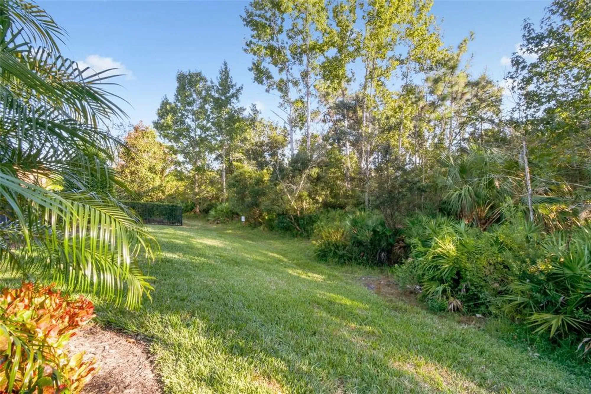Property Slideshow image 50 of 95 | 8543 grand alberato rd, Tampa, FL, 33647