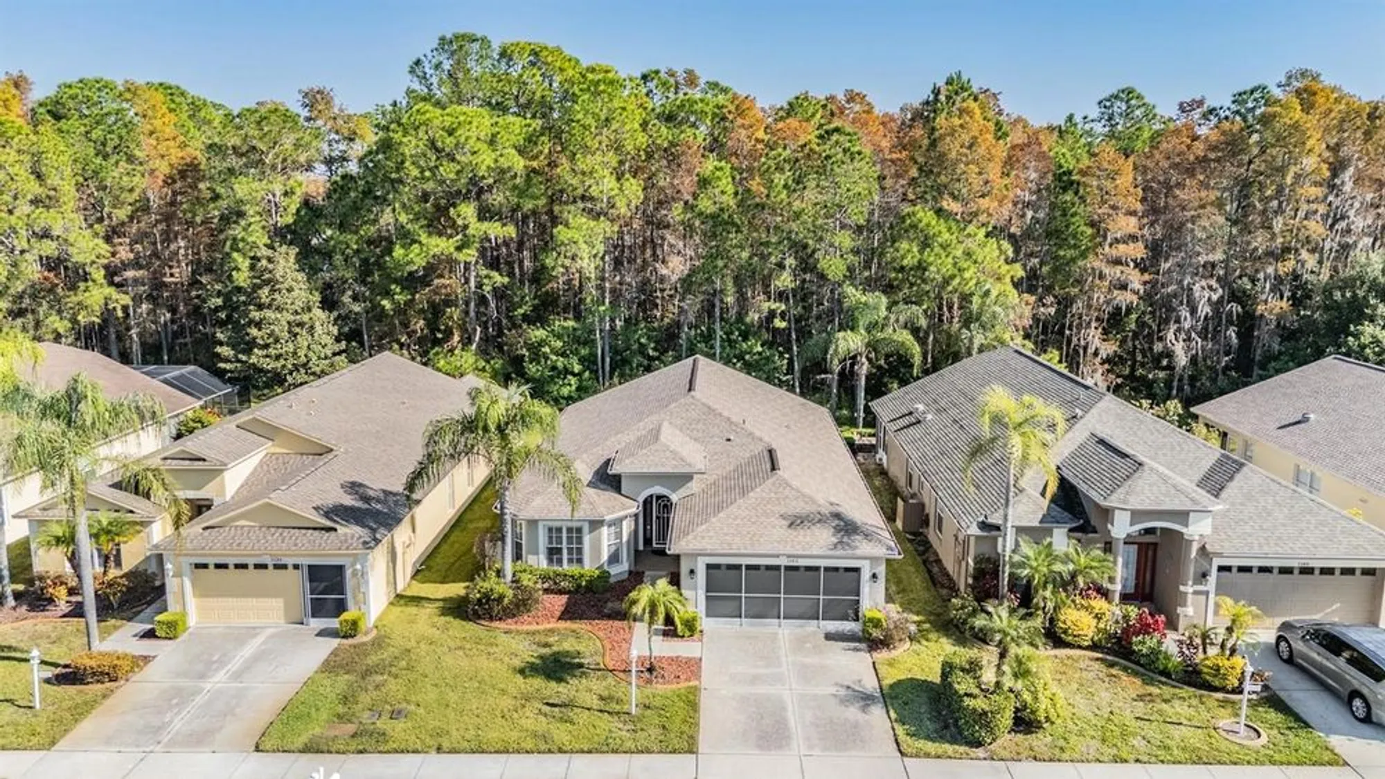 Property Slideshow image 2 of 49 | 1143 dustan pl, Trinity, FL, 34655