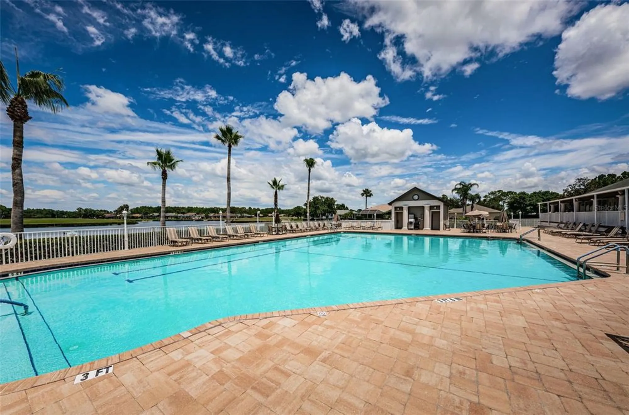 Property Slideshow image 81 of 100 | 1311 eveningside ct, Trinity, FL, 34655