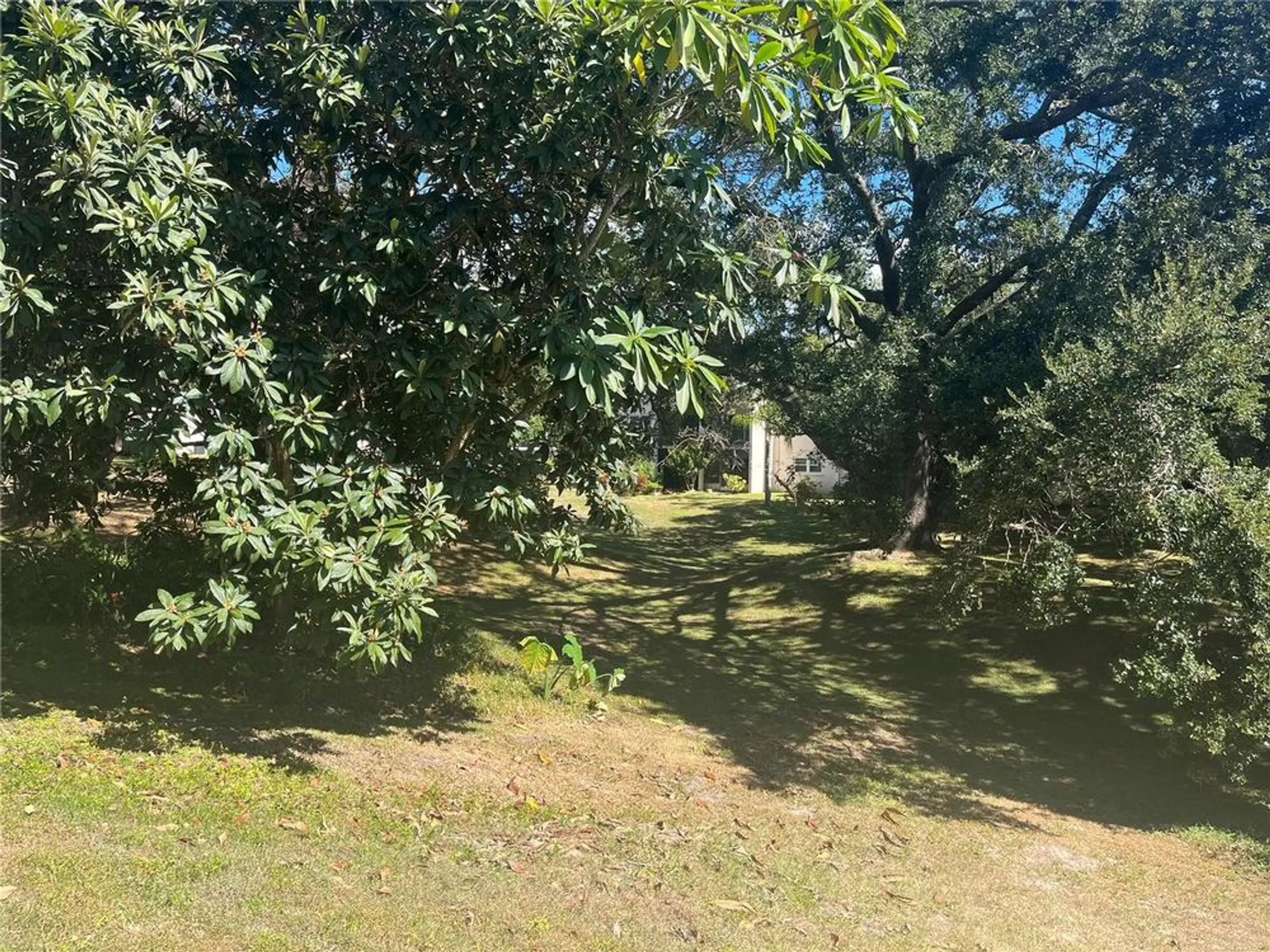 Property Slideshow image 14 of 52 | 840 virginia st 108, Dunedin, FL, 34698