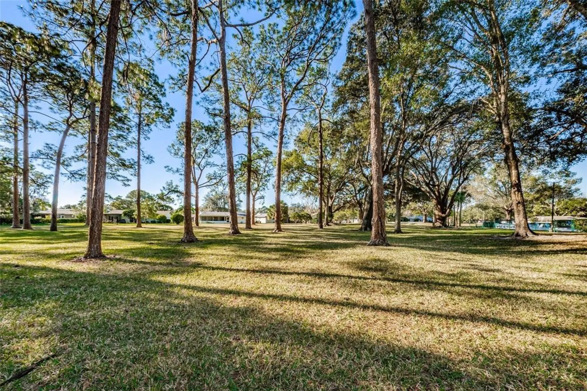 Property Slideshow image 64 of 66 | 1128 lanyard st, Palm Harbor, FL, 34685