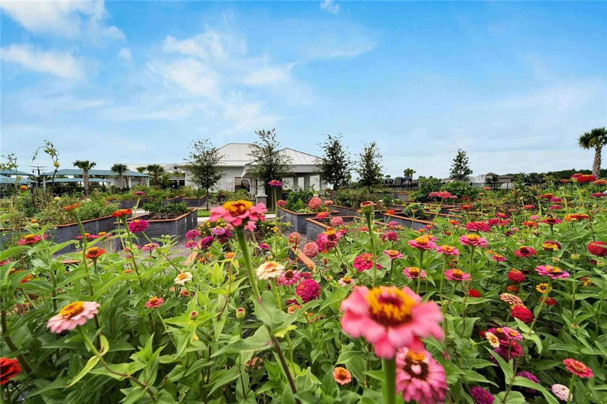 Property Slideshow image 48 of 49 | 5965 shorebird br, Land O Lakes, FL, 34638