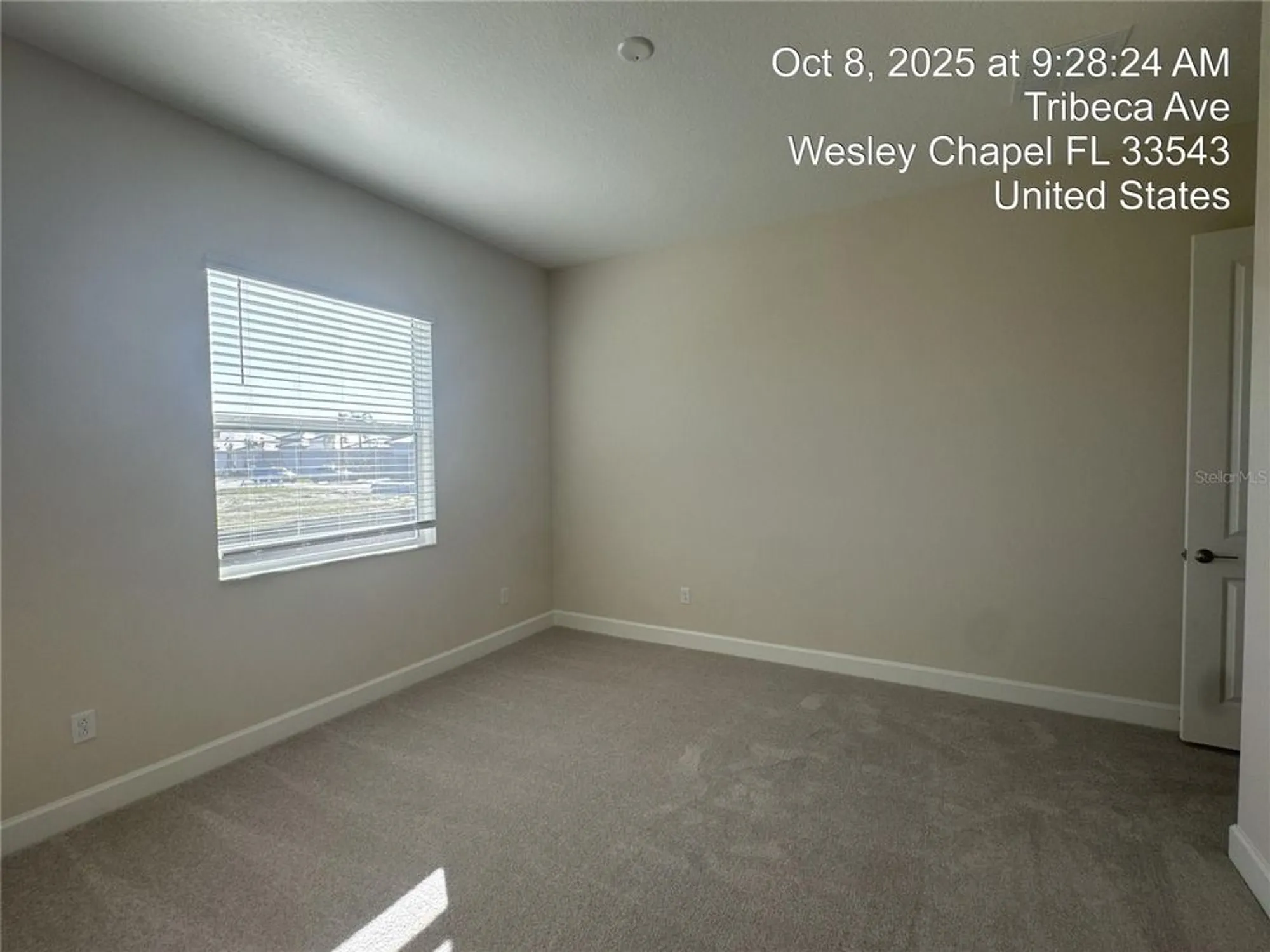 Property Slideshow image 26 of 47 | 32249 tribeca ave, Wesley Chapel, FL, 33543