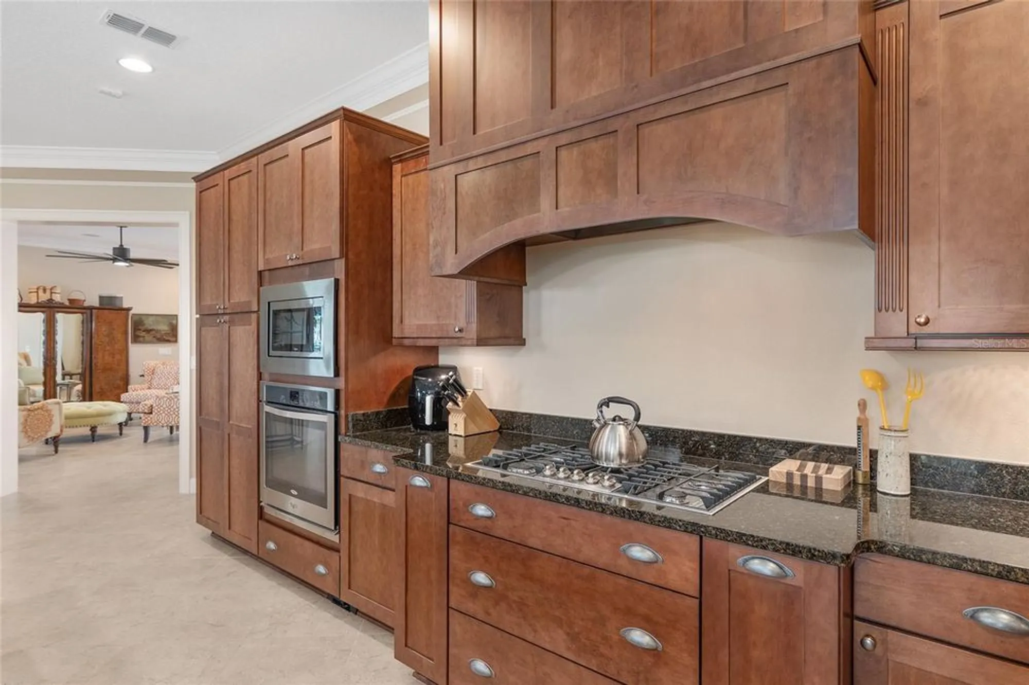 Property Slideshow image 49 of 93 | 8895 sw 86th loop, Ocala, FL, 34481