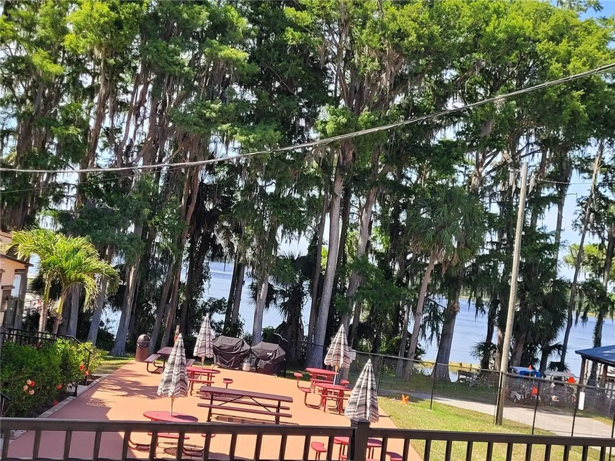 Property Slideshow image 22 of 23 | 946 madrid dr, Palm Harbor, FL, 34684