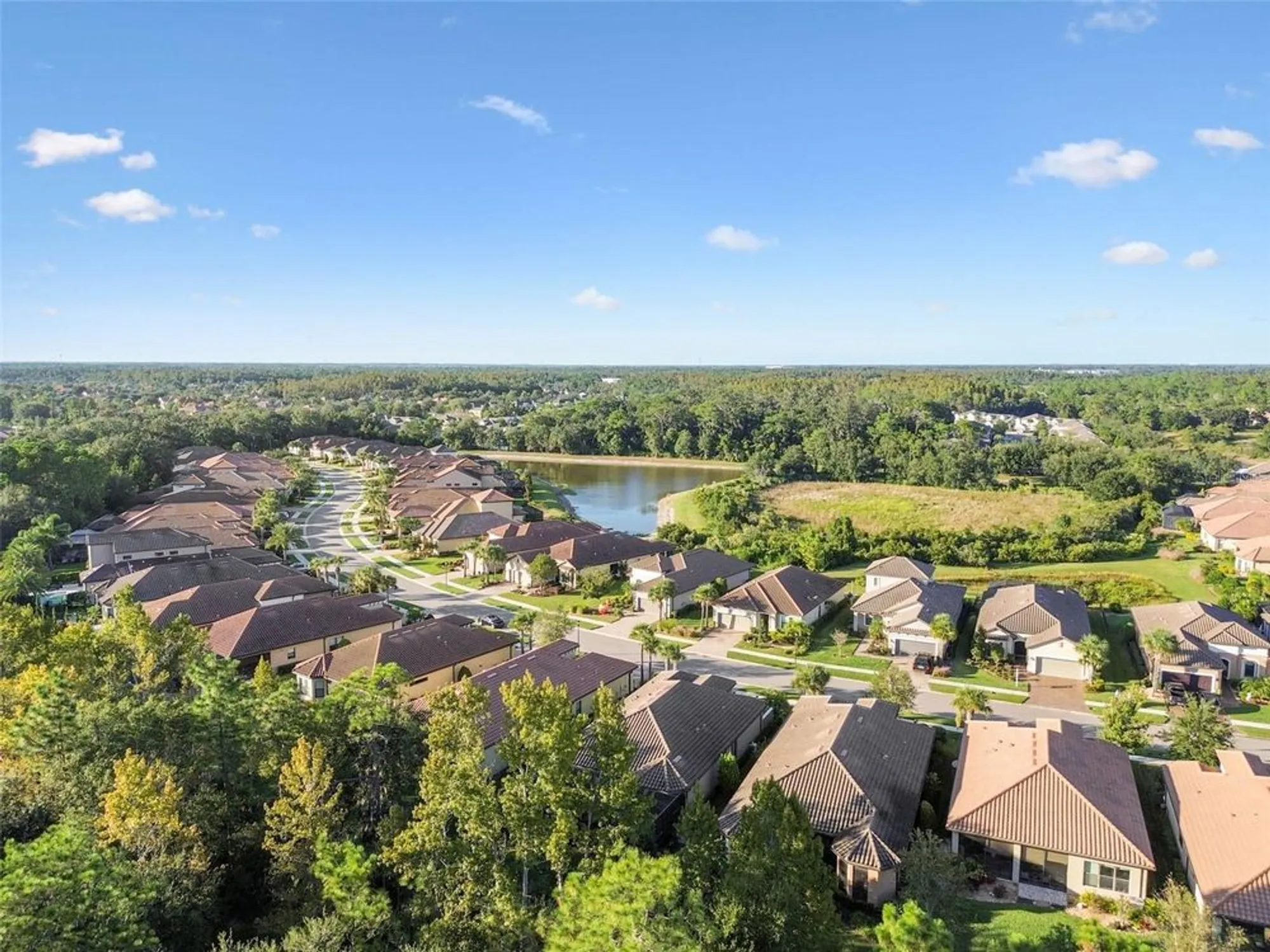 Property Slideshow image 59 of 95 | 8543 grand alberato rd, Tampa, FL, 33647