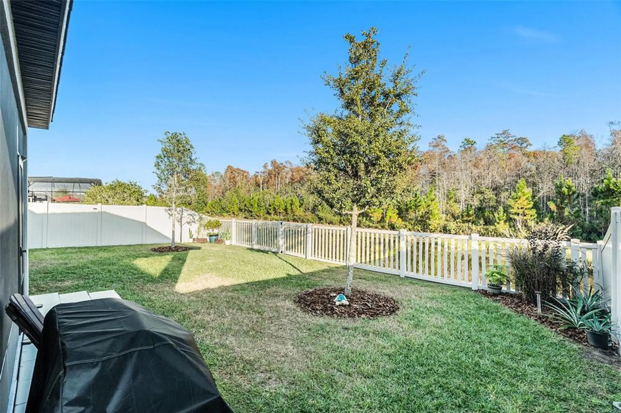 Property Slideshow image 32 of 39 | 16816 shell bay dr, Land O Lakes, FL, 34638