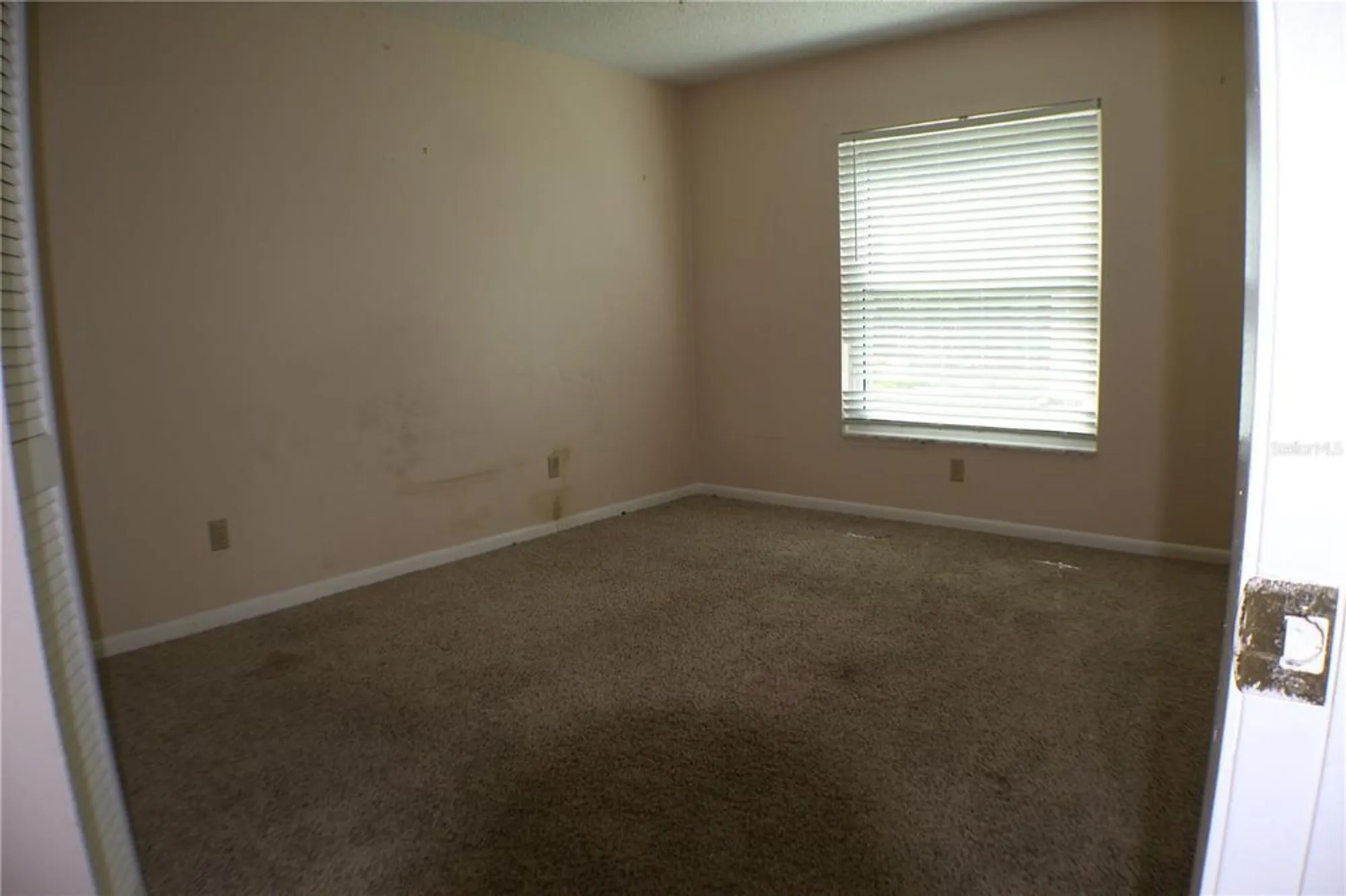 Property Slideshow image 22 of 37 | 11806 white ash dr, New Port Richey, FL, 34654