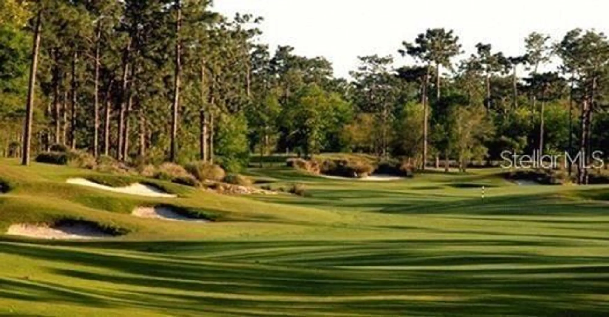 Property Slideshow image 44 of 46 | 1018 heron point cir, Deland, FL, 32724