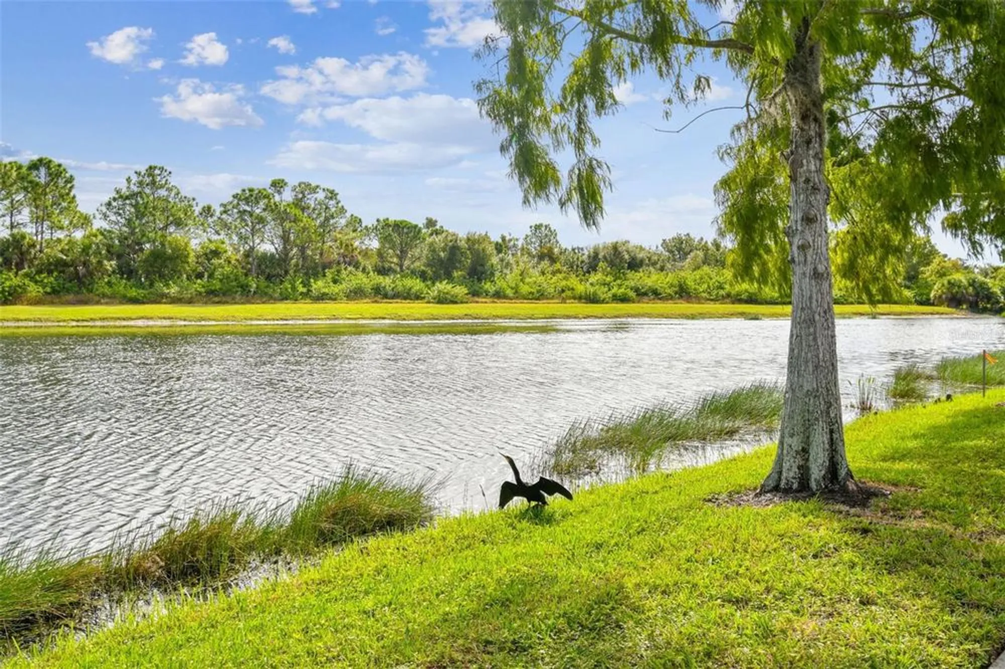 Property Slideshow image 62 of 82 | 5373 eliseo st, Sarasota, FL, 34238
