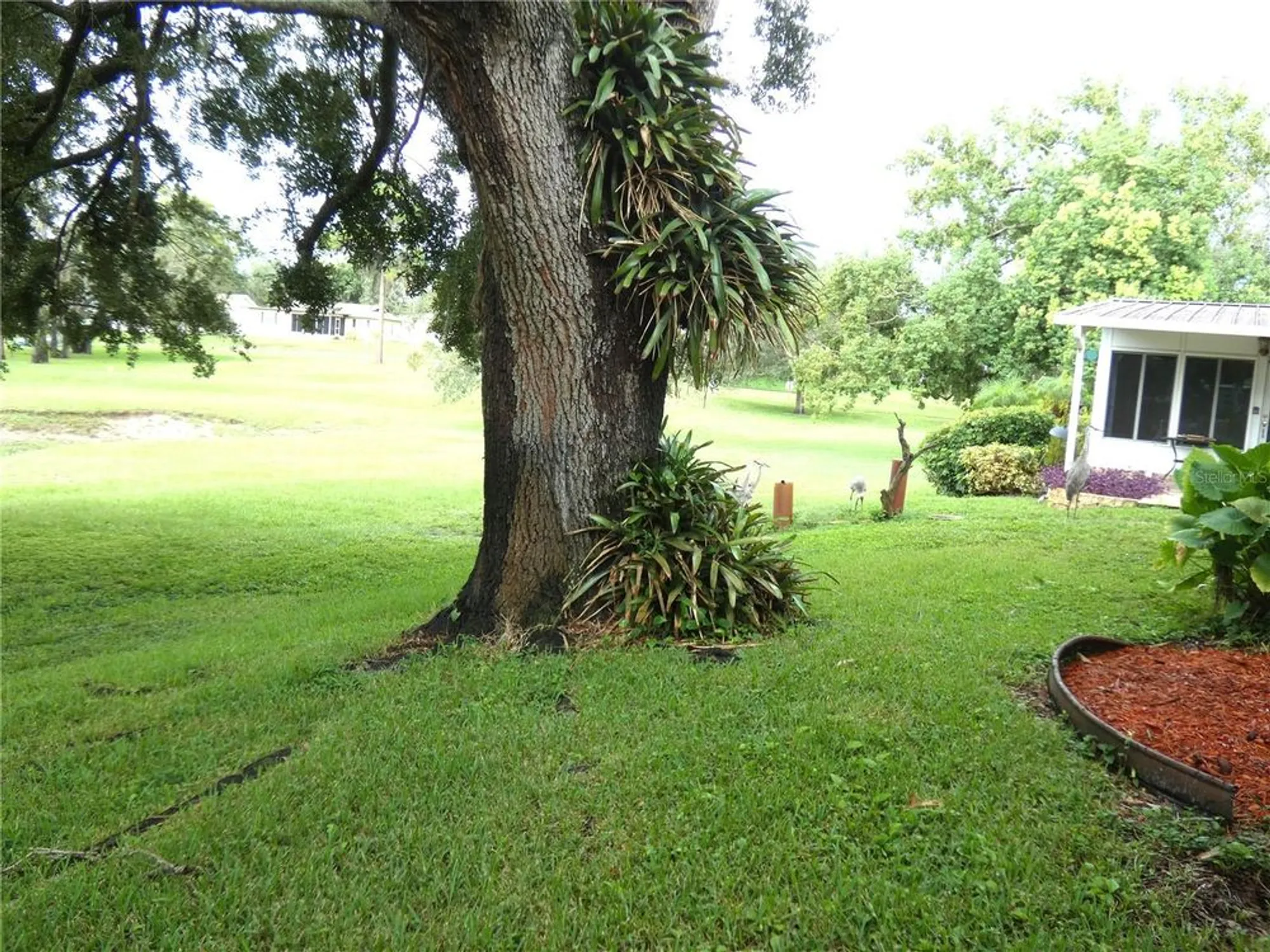 Property Slideshow image 6 of 39 | 8140 san felipe ct, Port Richey, FL, 34668