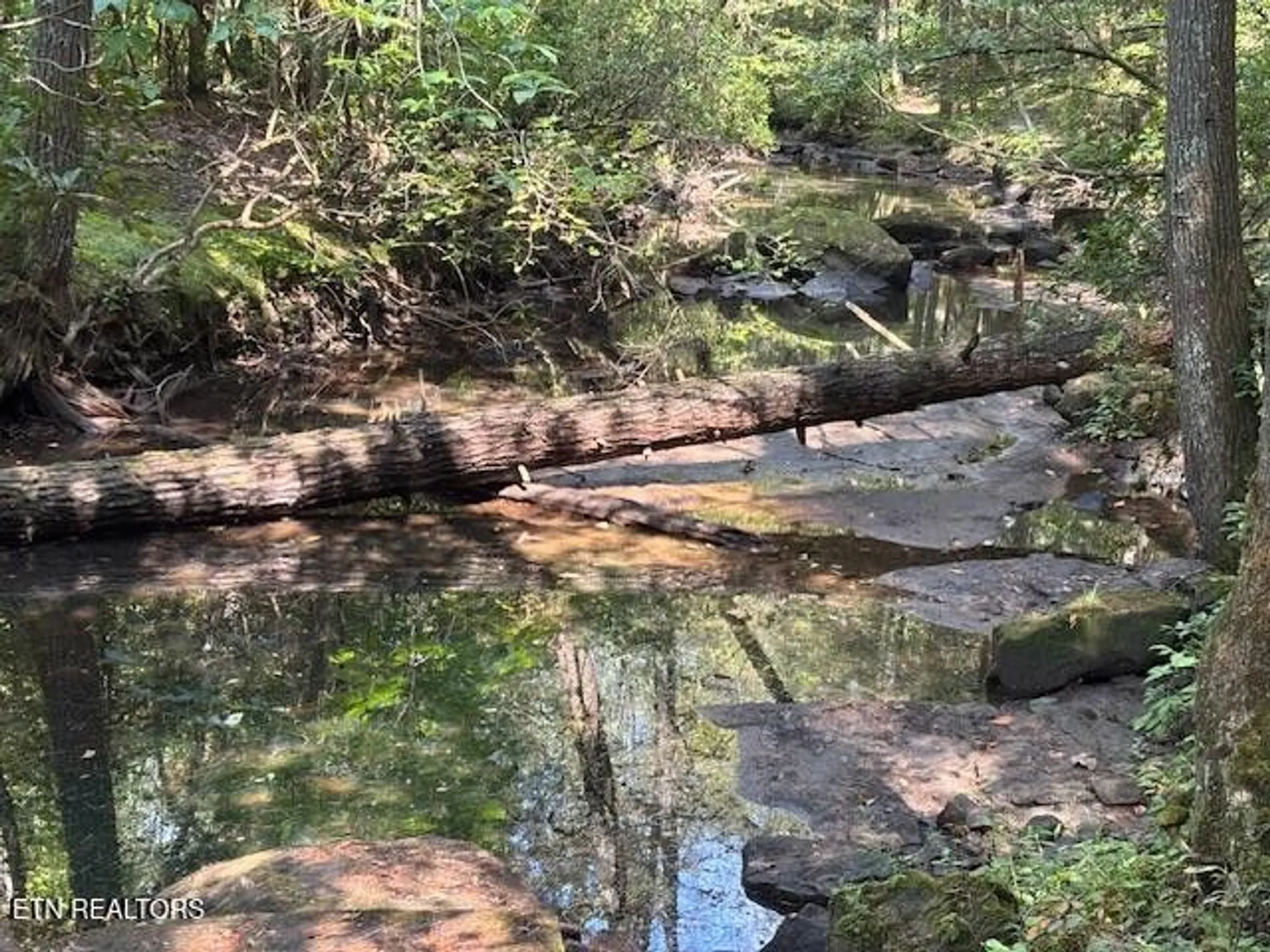 Property Slideshow image 37 of 42 | 151 forest view dr, Crossville, TN, 38558