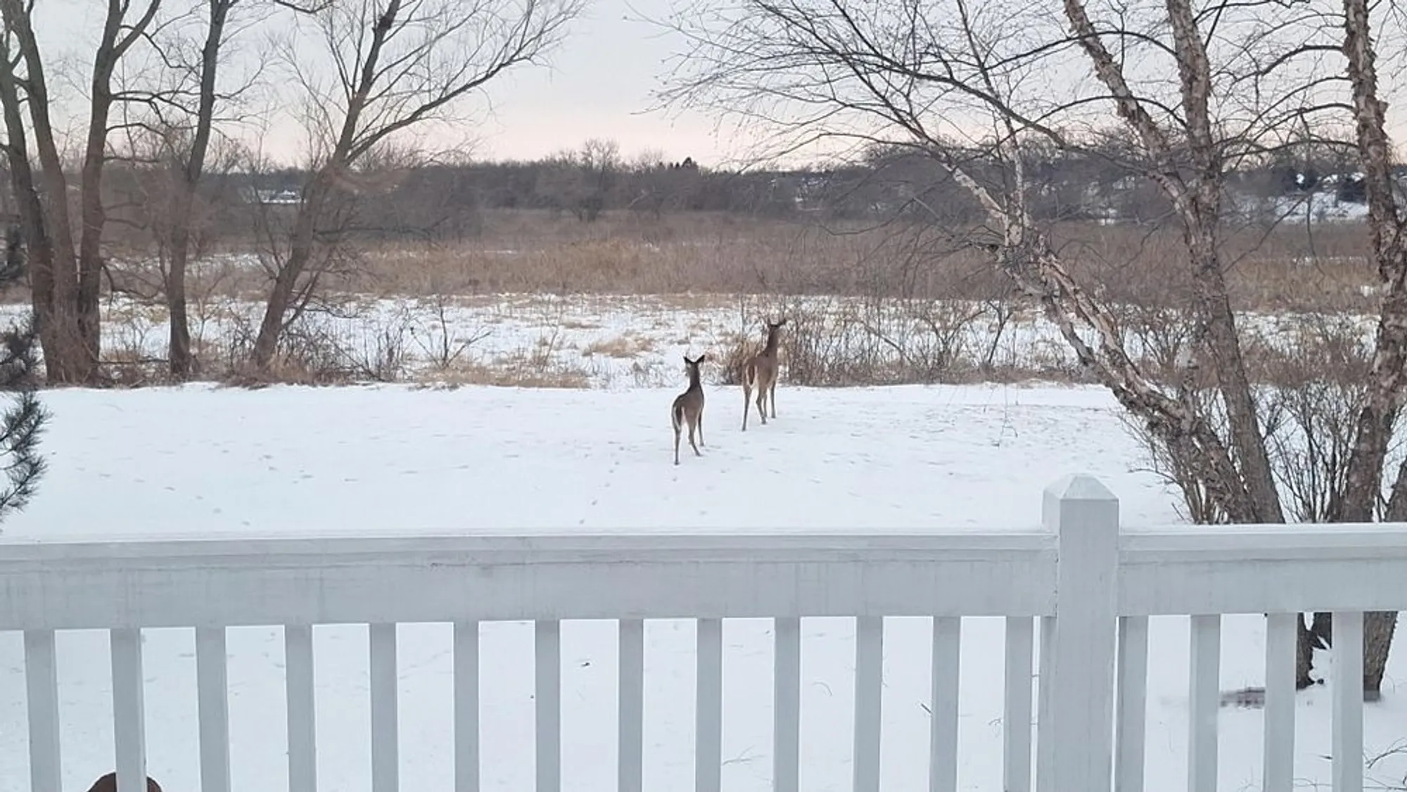 Property Slideshow image 32 of 49 | 12255 wildflower ln, Huntley, IL, 60142