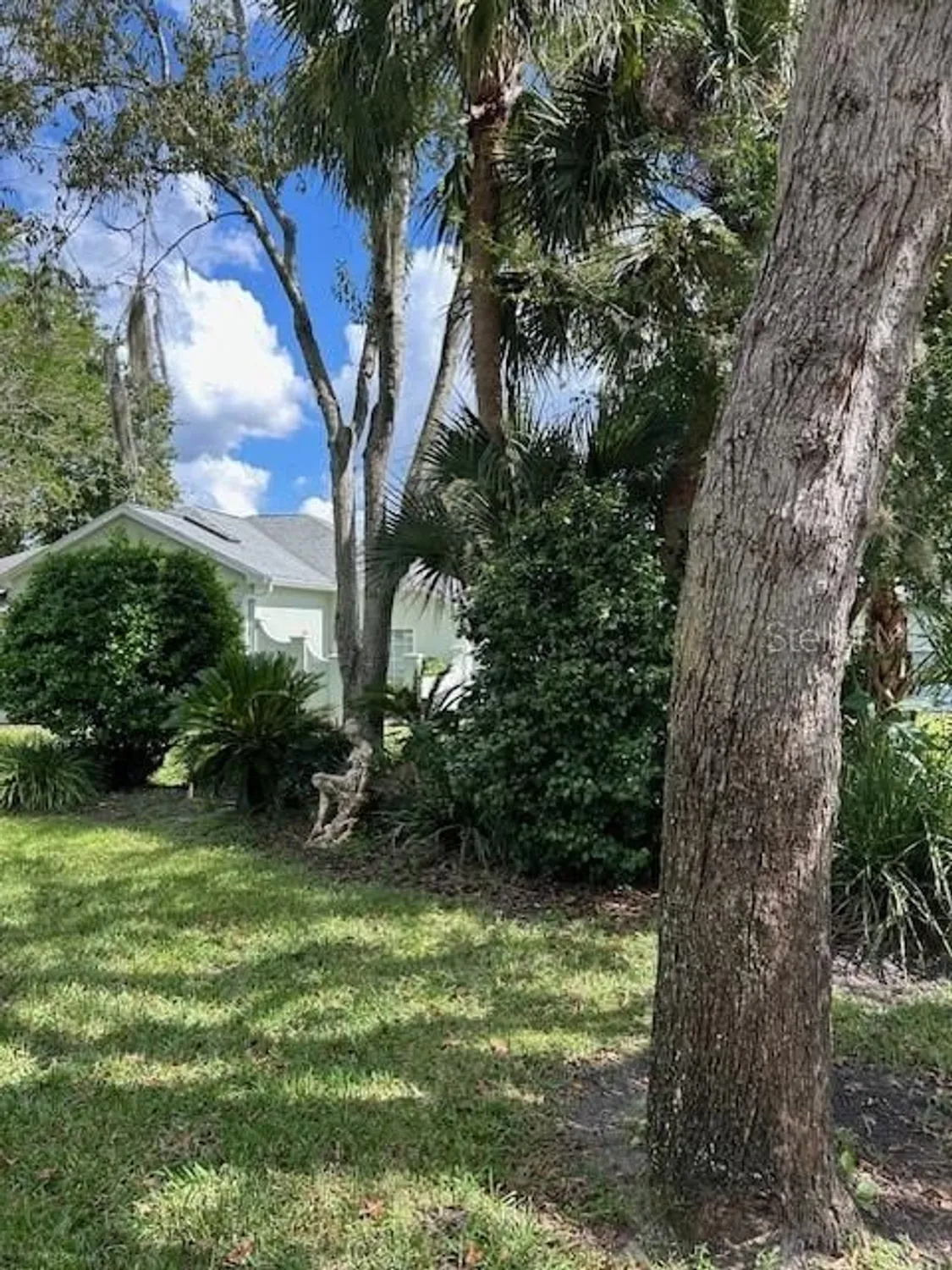 Property Slideshow image 53 of 62 | 11222 sw 73rd cir, Ocala, FL, 34476
