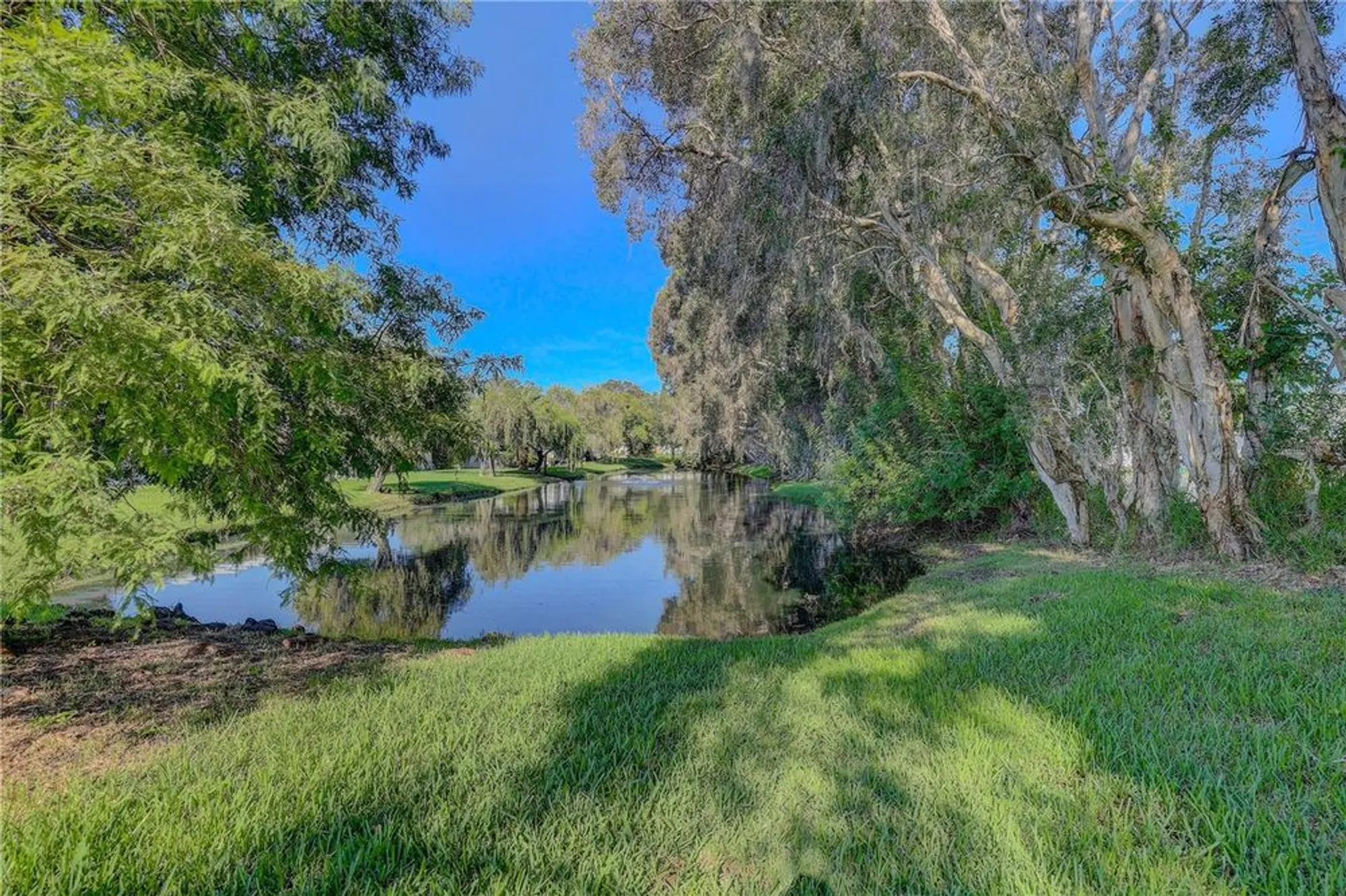Property Slideshow image 22 of 28 | 864 lake haven rd, Dunedin, FL, 34698