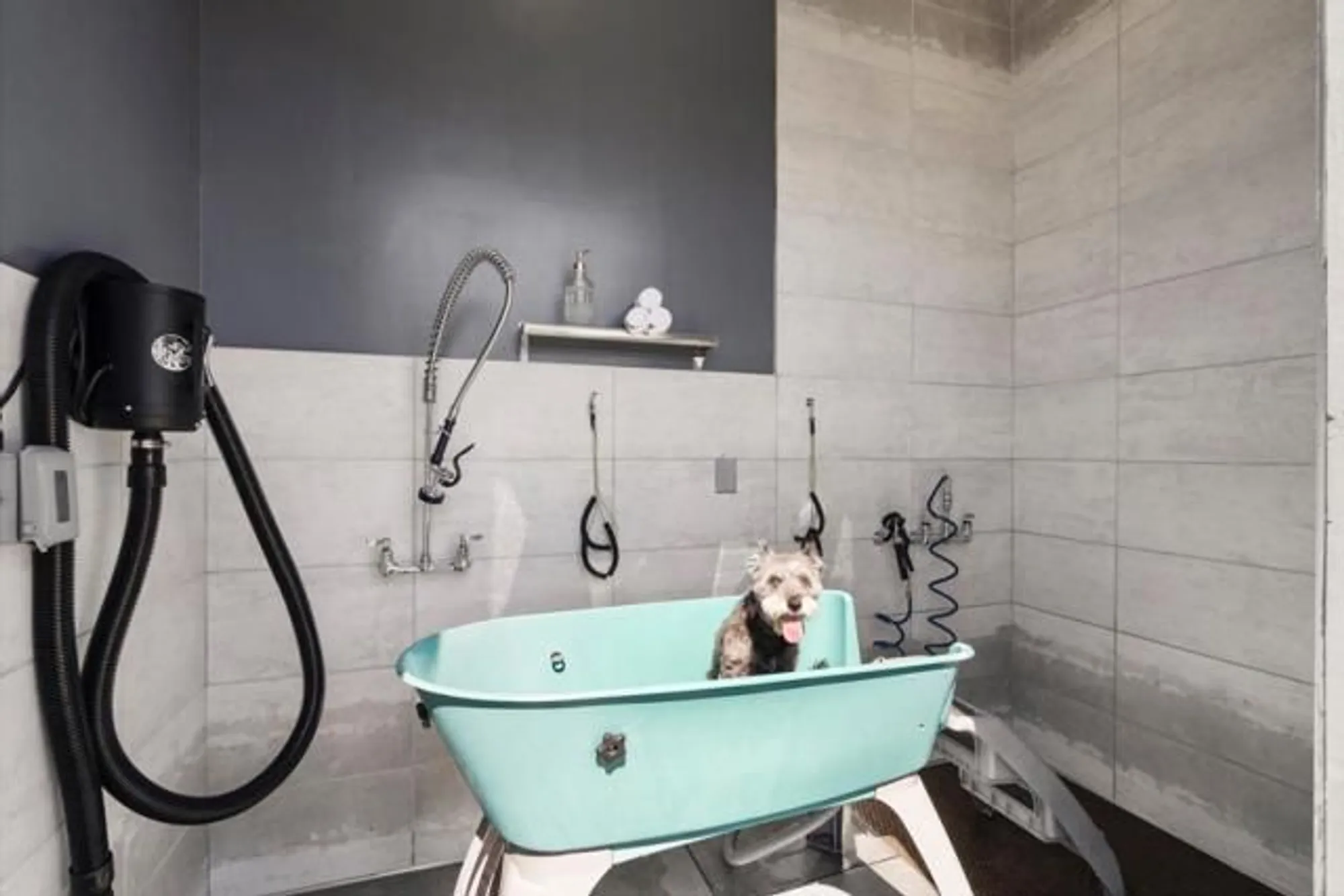 Property Slideshow image 11 of 16 | 2171 white oak dr, Hollister, CA, 95023