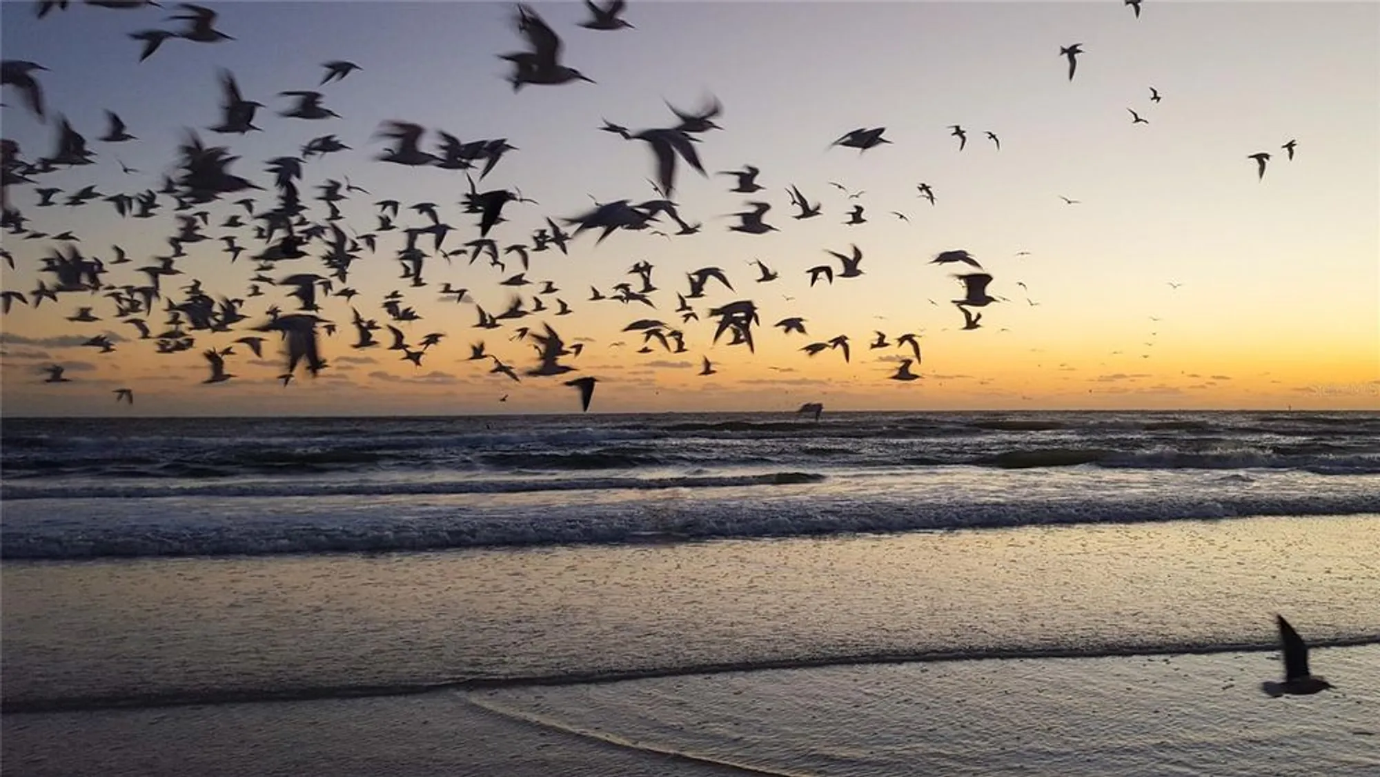 Property Slideshow image 61 of 77 | 7149 fairway bend cir, Sarasota, FL, 34243