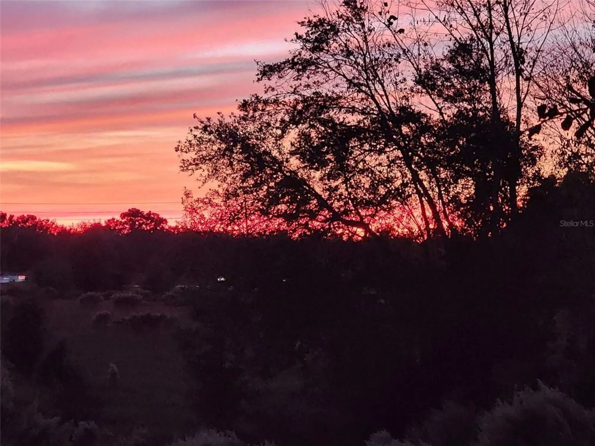 Property Slideshow image 37 of 55 | 13835 se 85th cir, Summerfield, FL, 34491