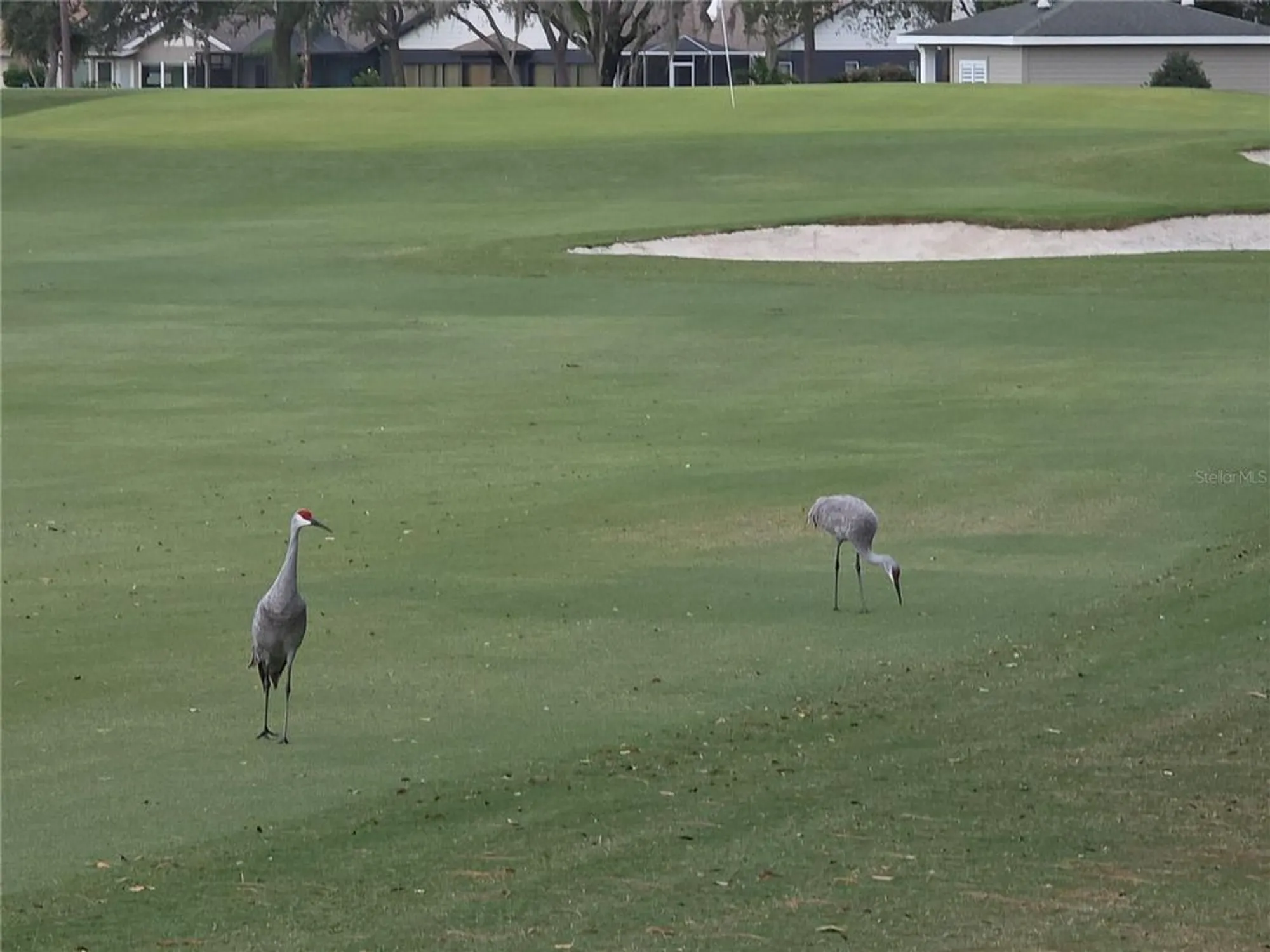 Property Slideshow image 32 of 46 | 6345 pine meadows dr, Spring Hill, FL, 34606