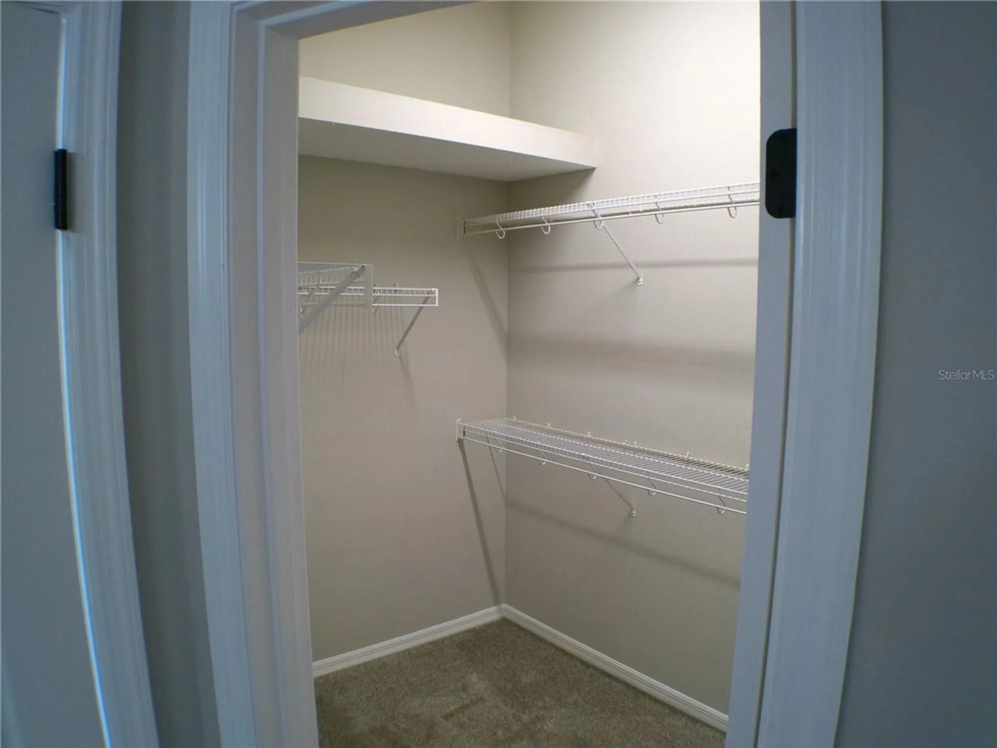 Property Slideshow image 14 of 20 | 3813 westerham dr, Clermont, FL, 34711