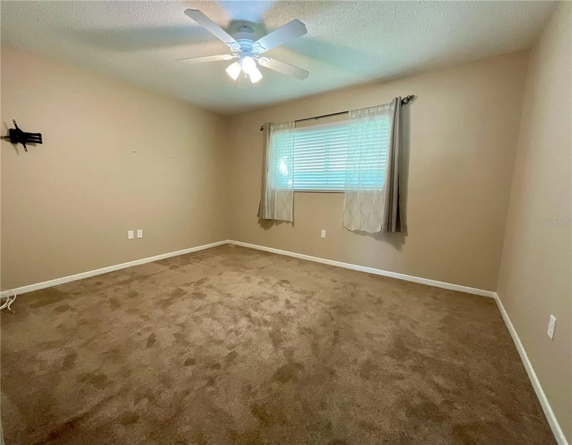 Property Slideshow image 19 of 23 | 10004 tulip st, Pinellas Park, FL, 33782
